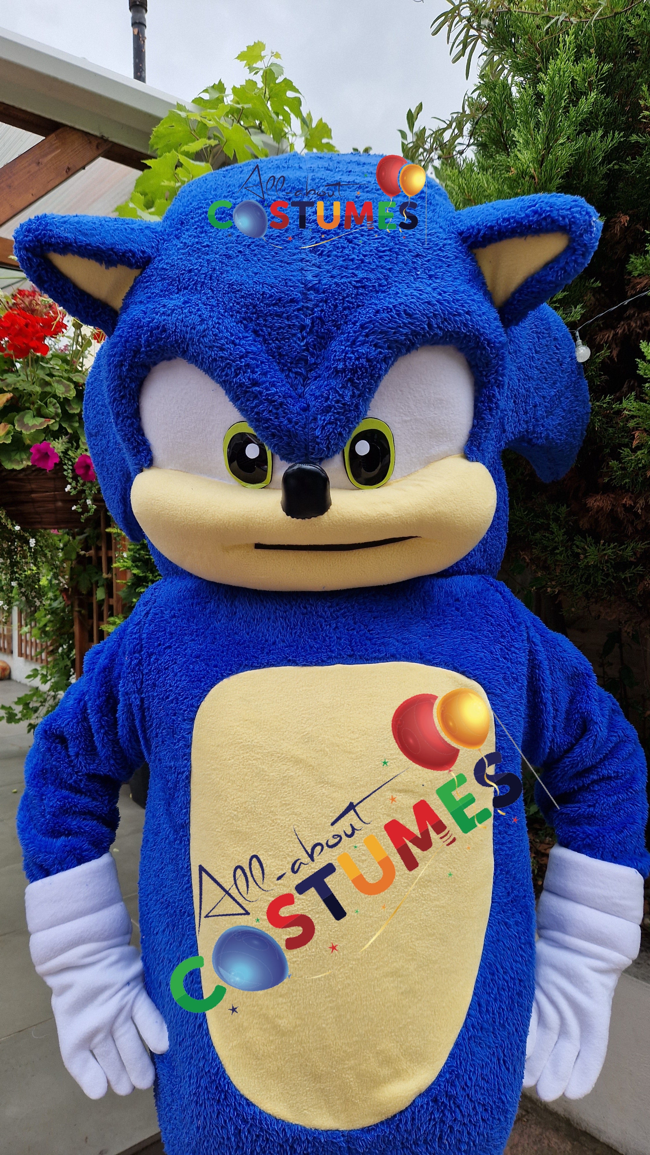 Sonic el erizo Edición limitada