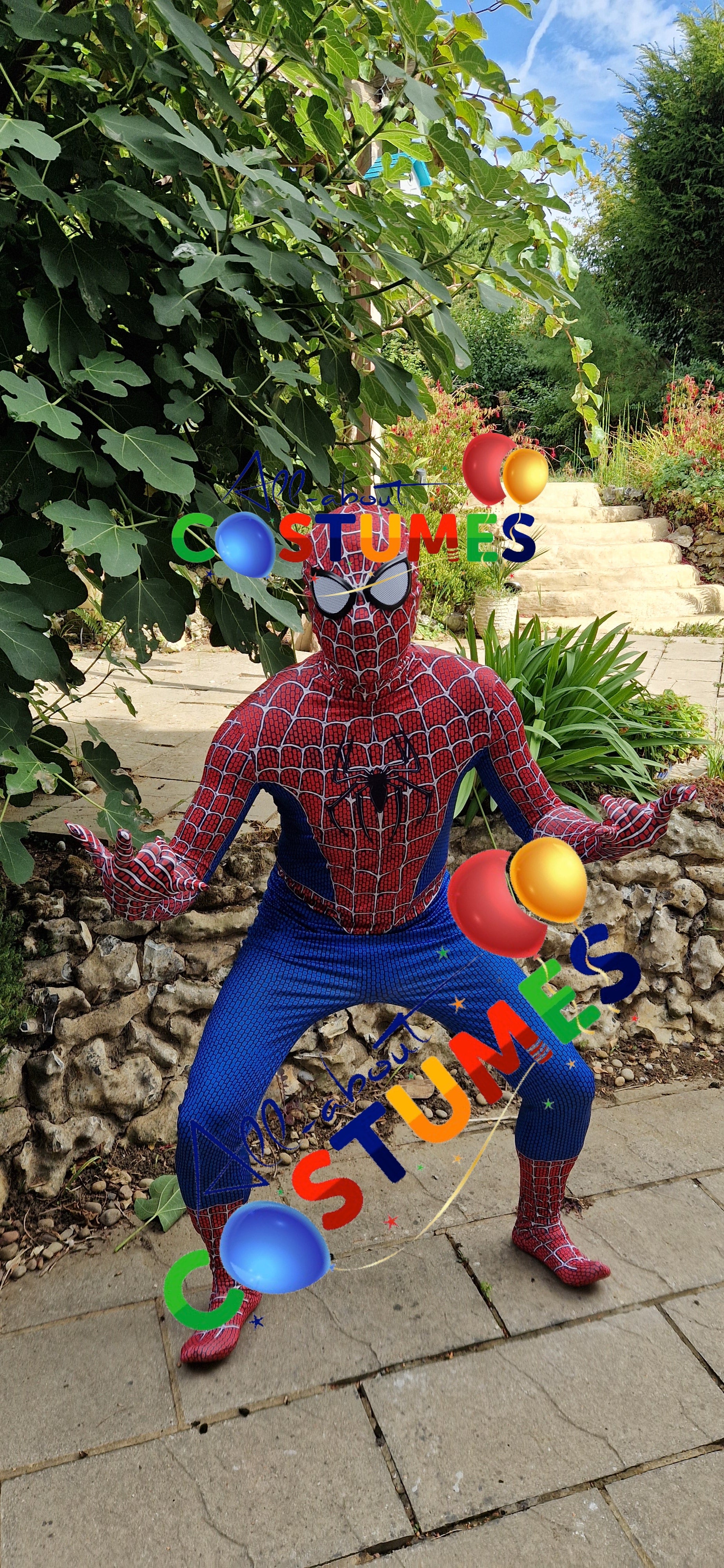 Hombre Araña