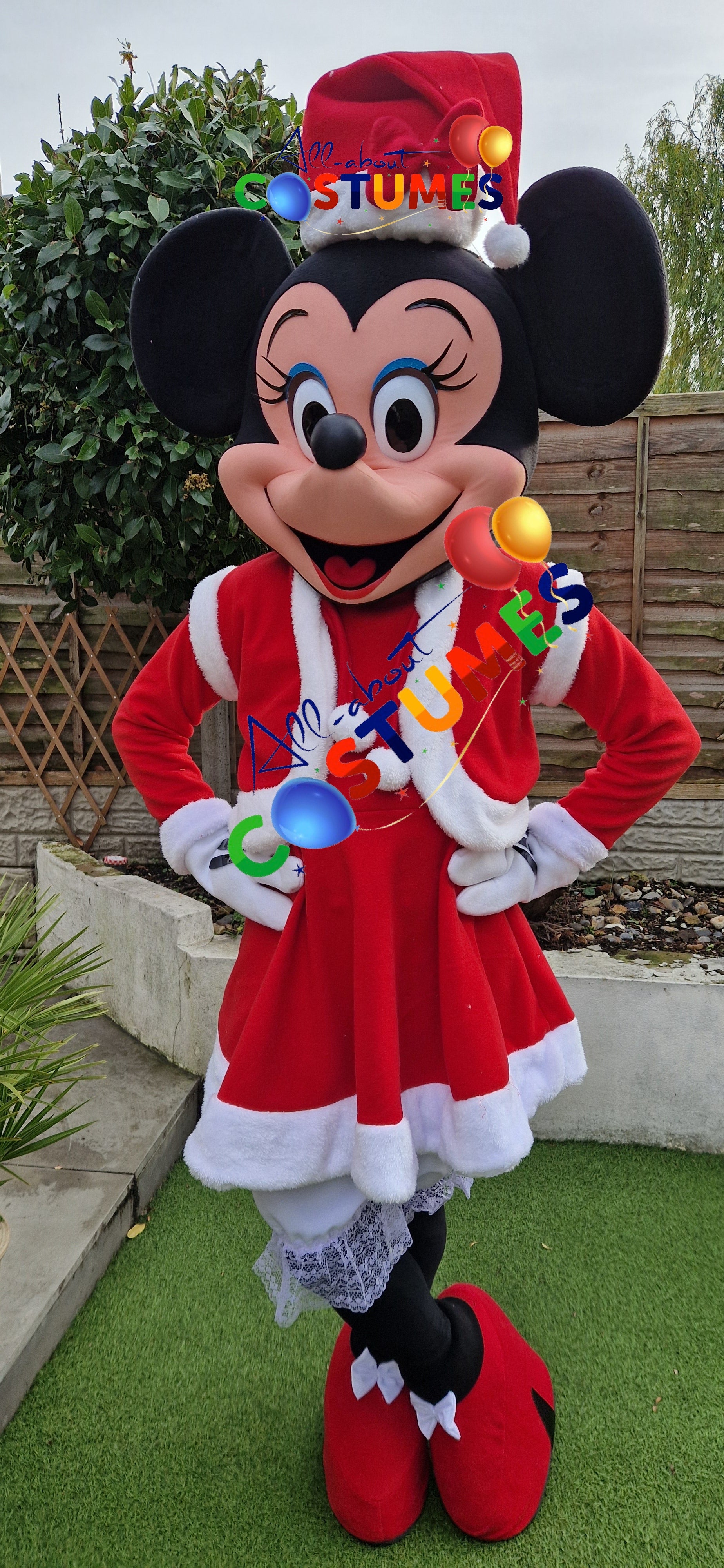 Z Elf en el estante Navidad