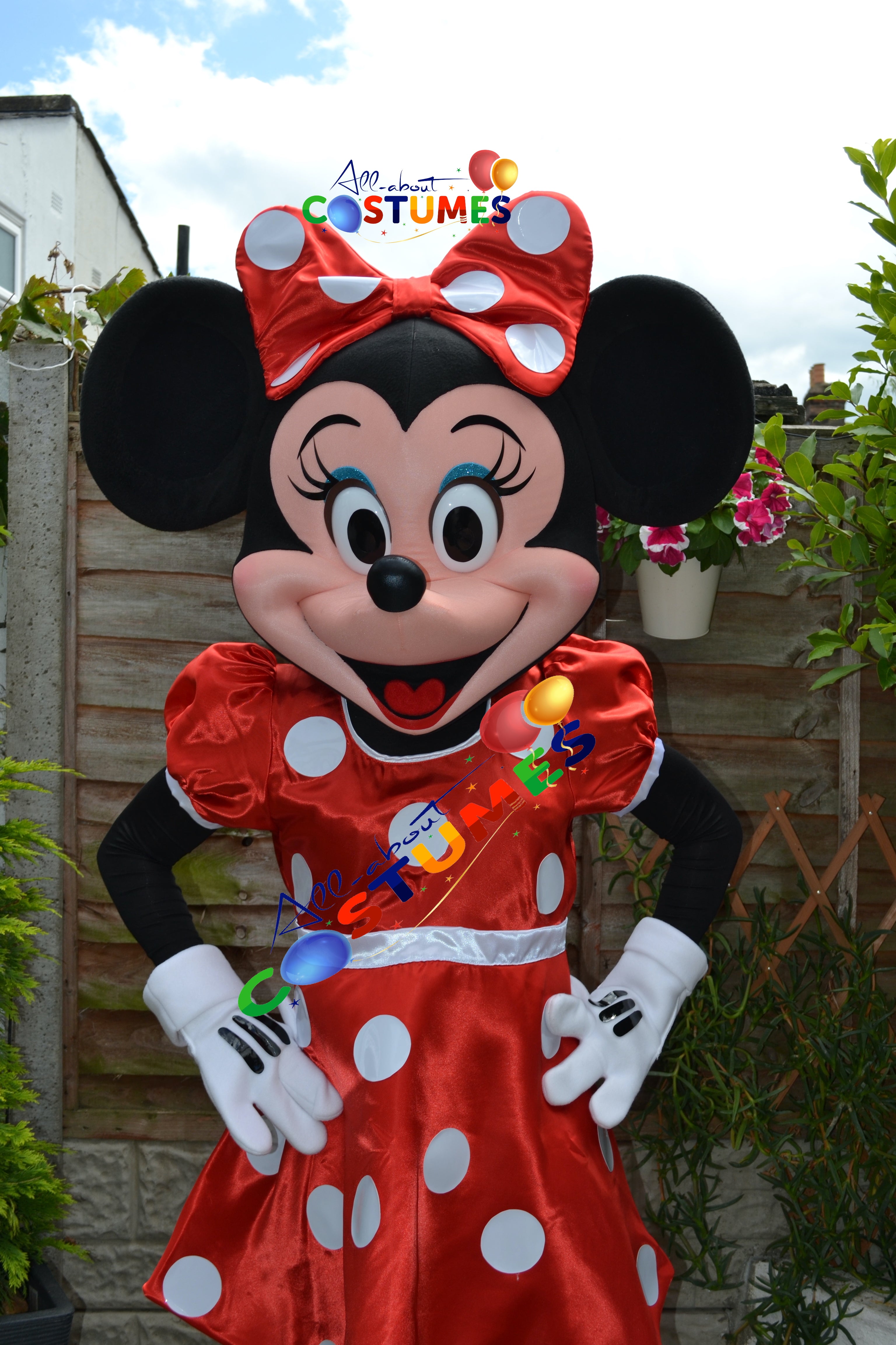 Disfraz de Minnie Mouse