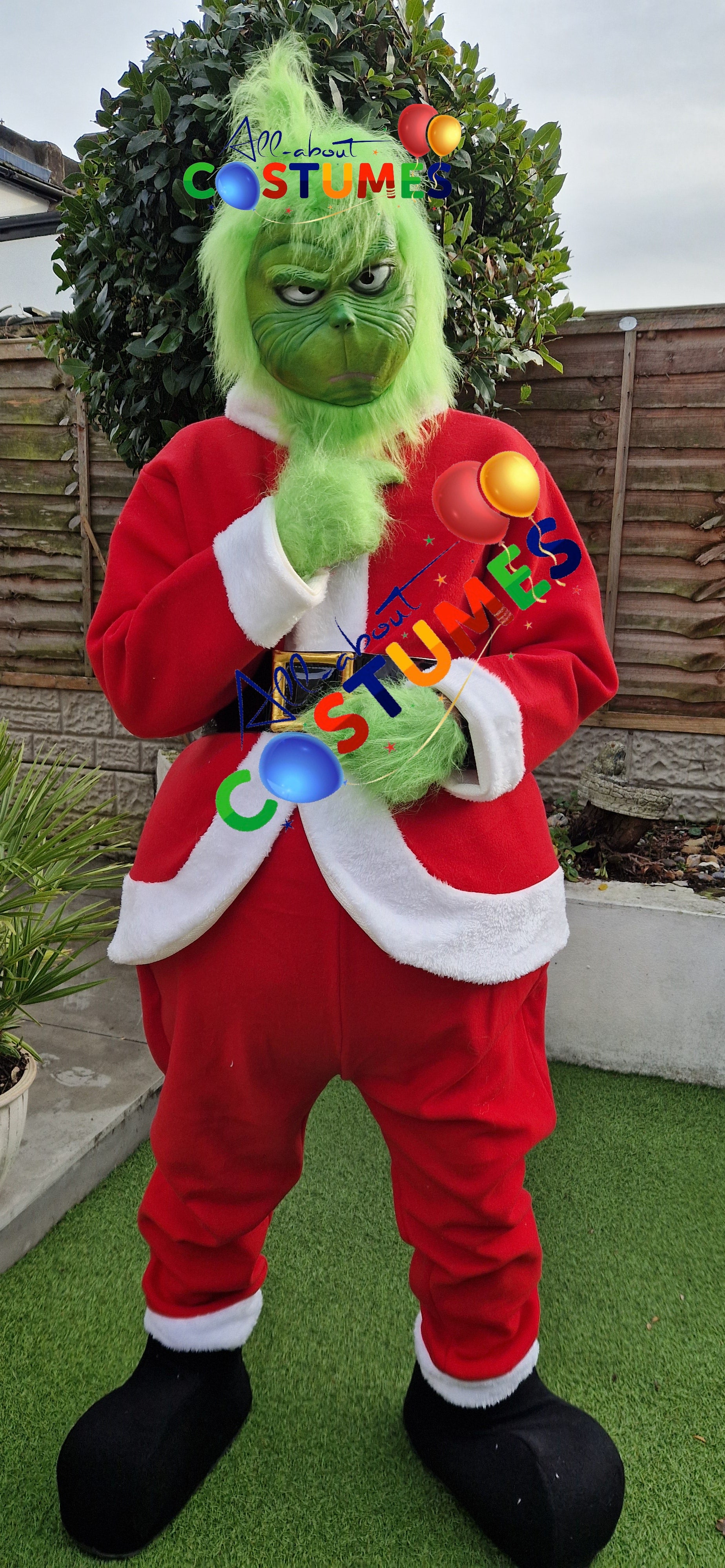 Z Elf en el estante Navidad