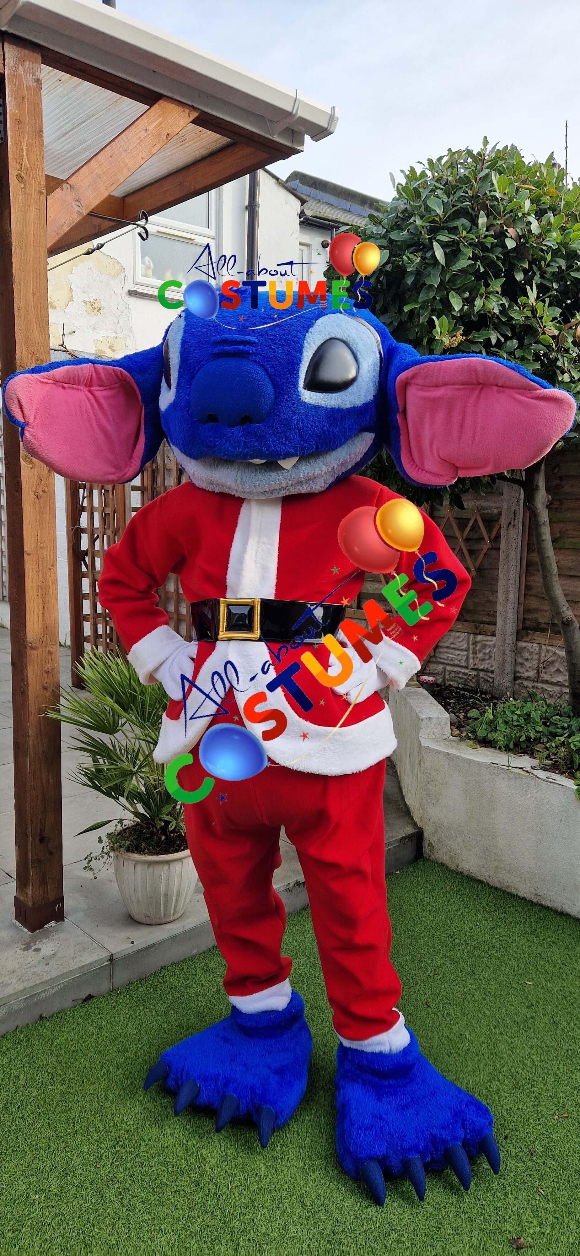 Z Elf en el estante Navidad