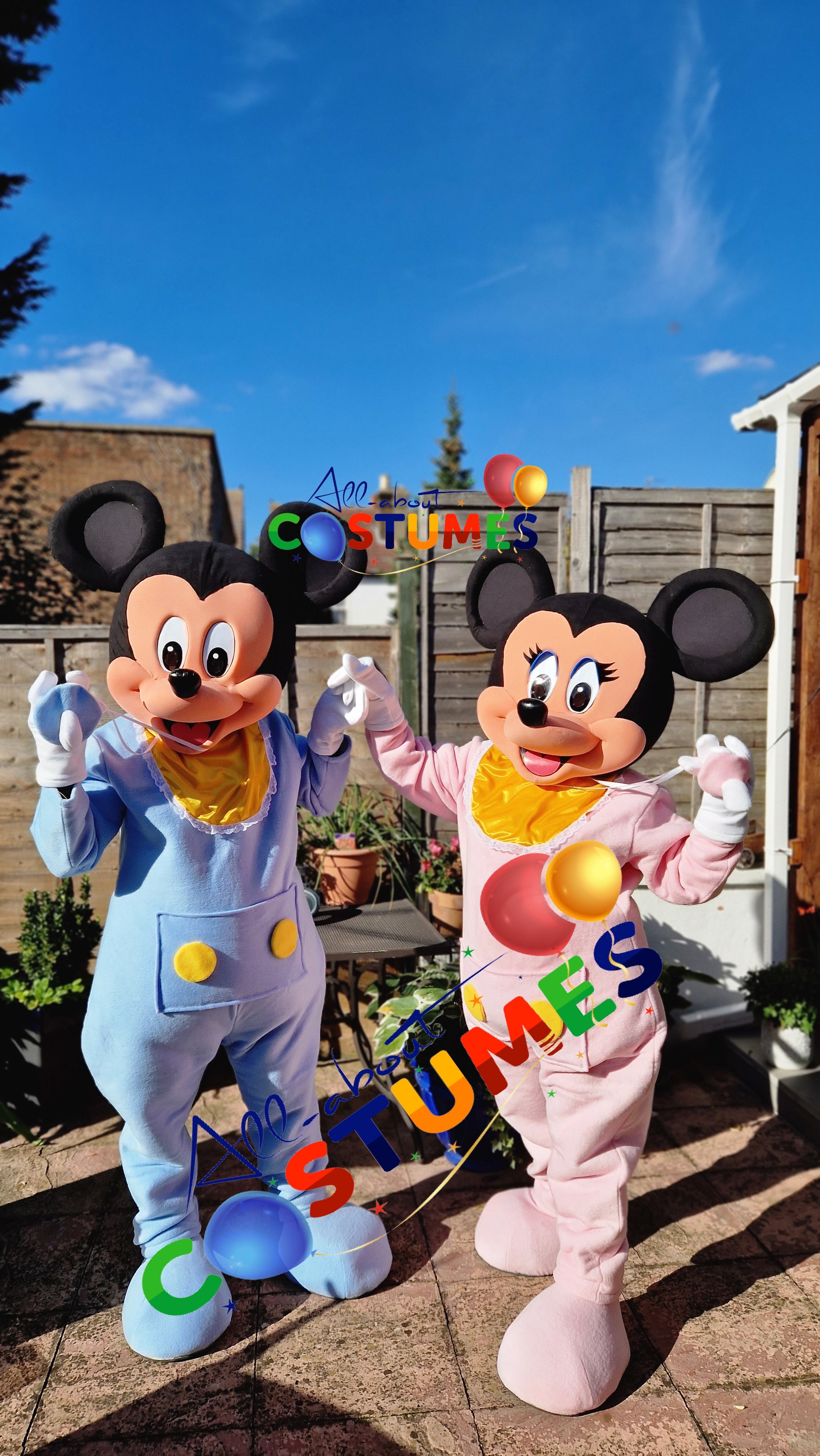 SAB Mickey y Minnie REVELACIÓN DE GÉNERO