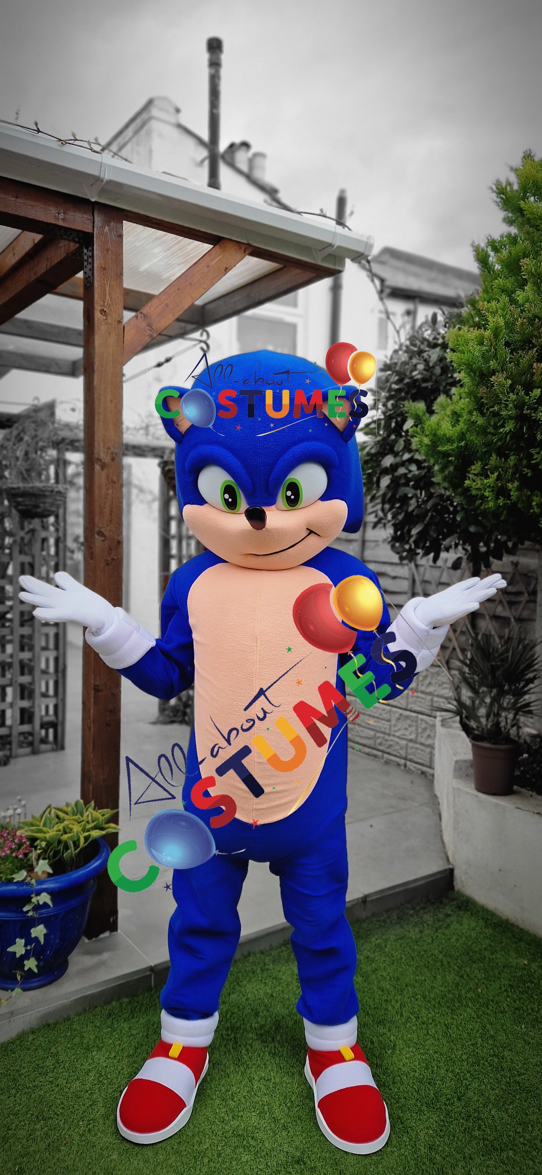 Sonic rápido de lujo