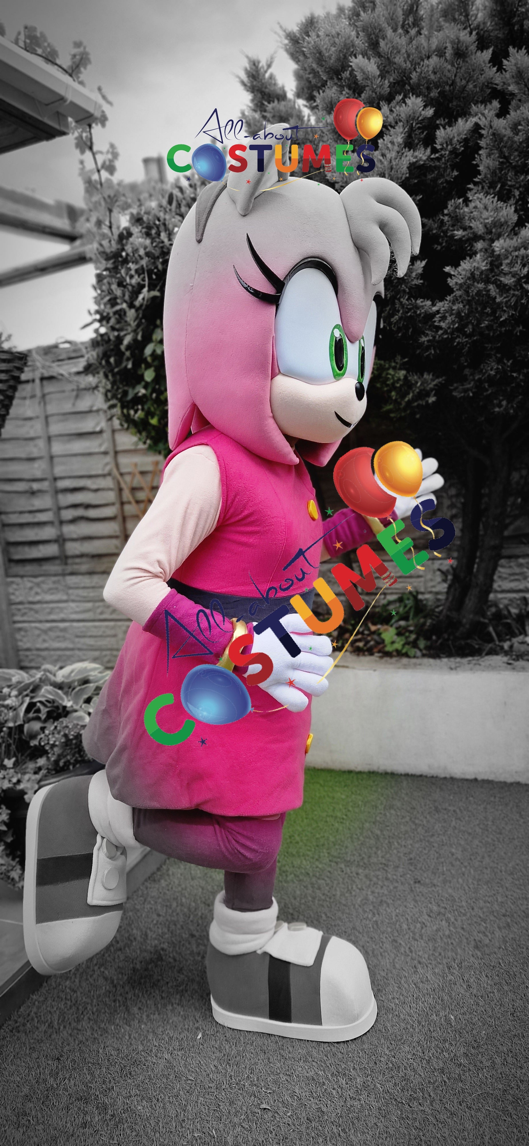 Amy Rose Sonic X
