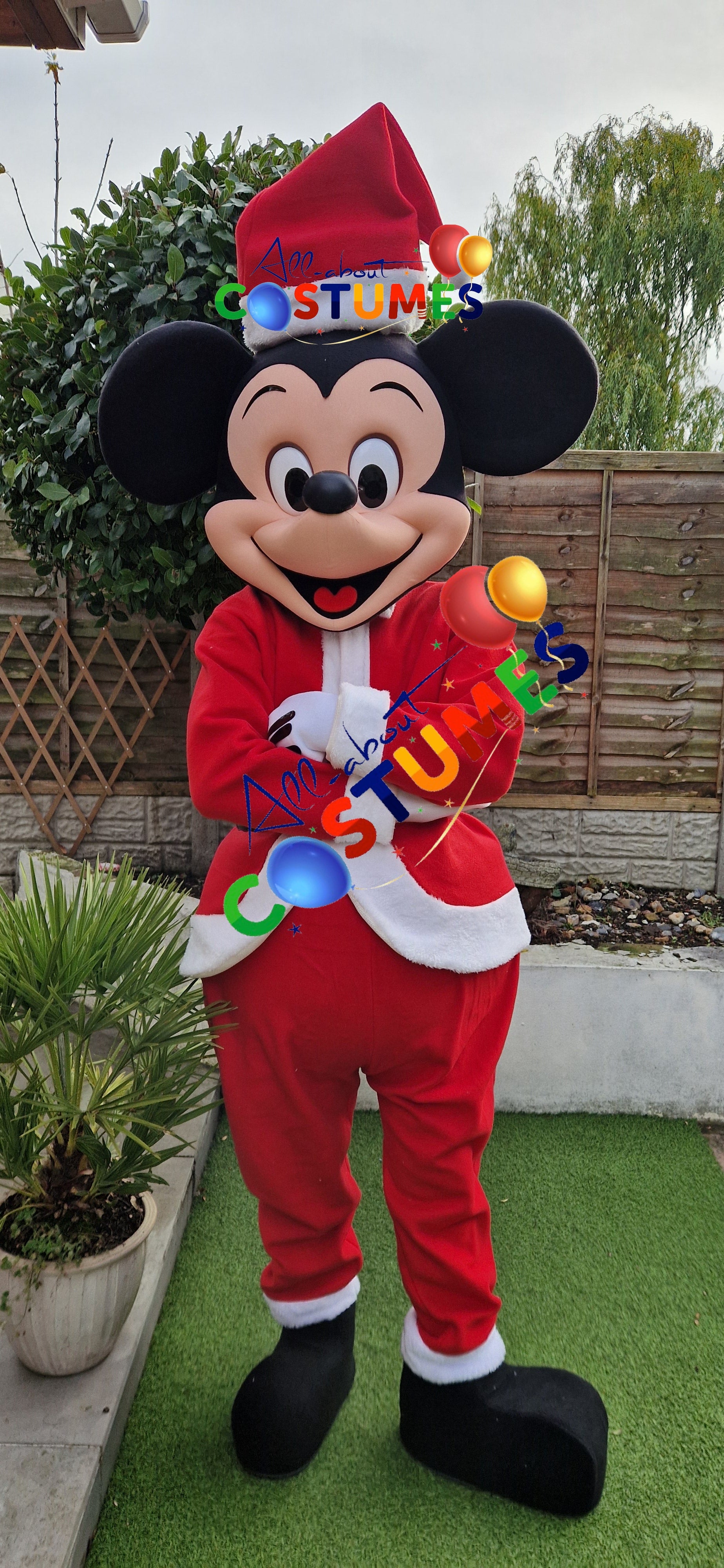 Z Elf en el estante Navidad