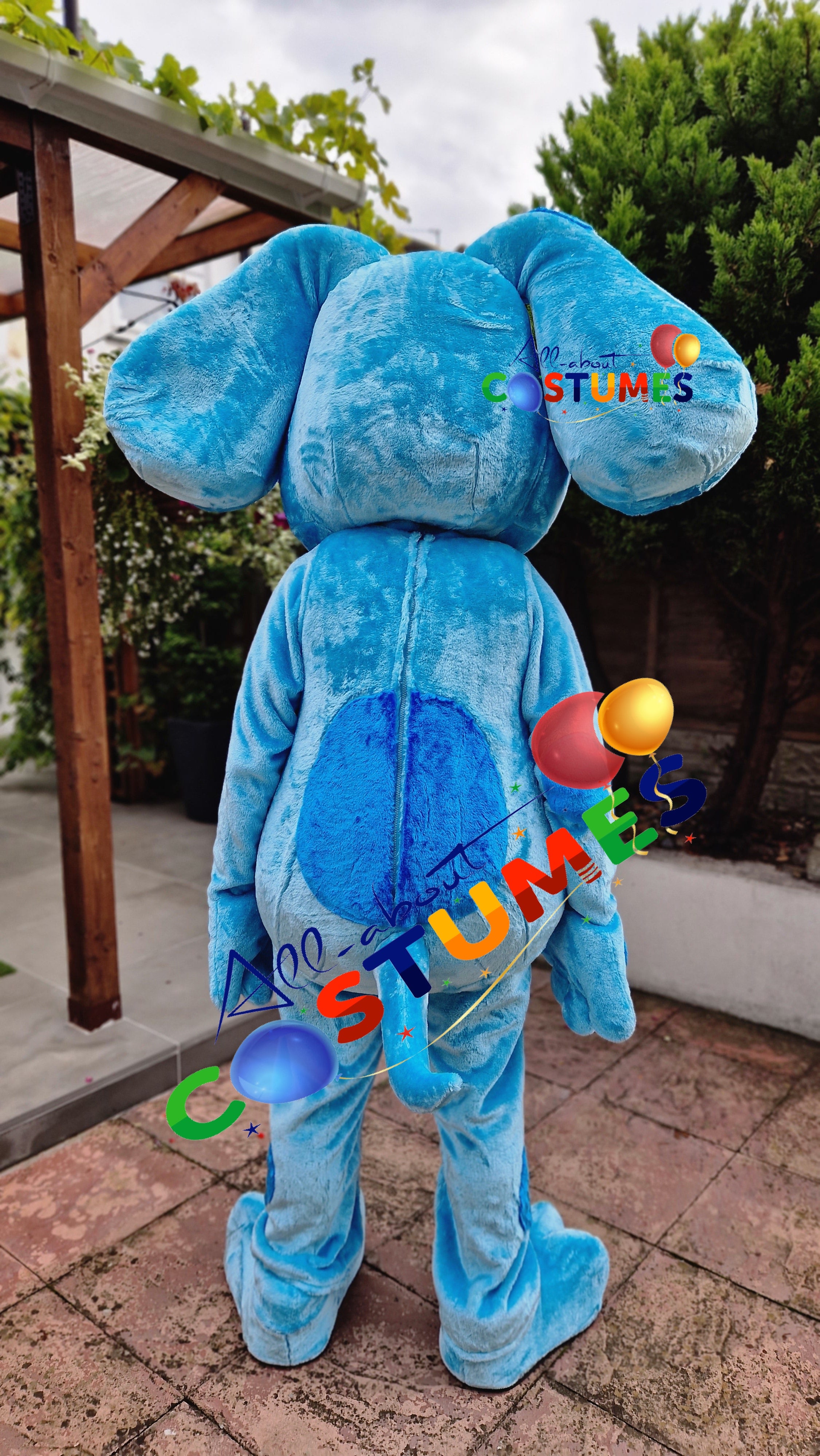 Blue's Clues and You