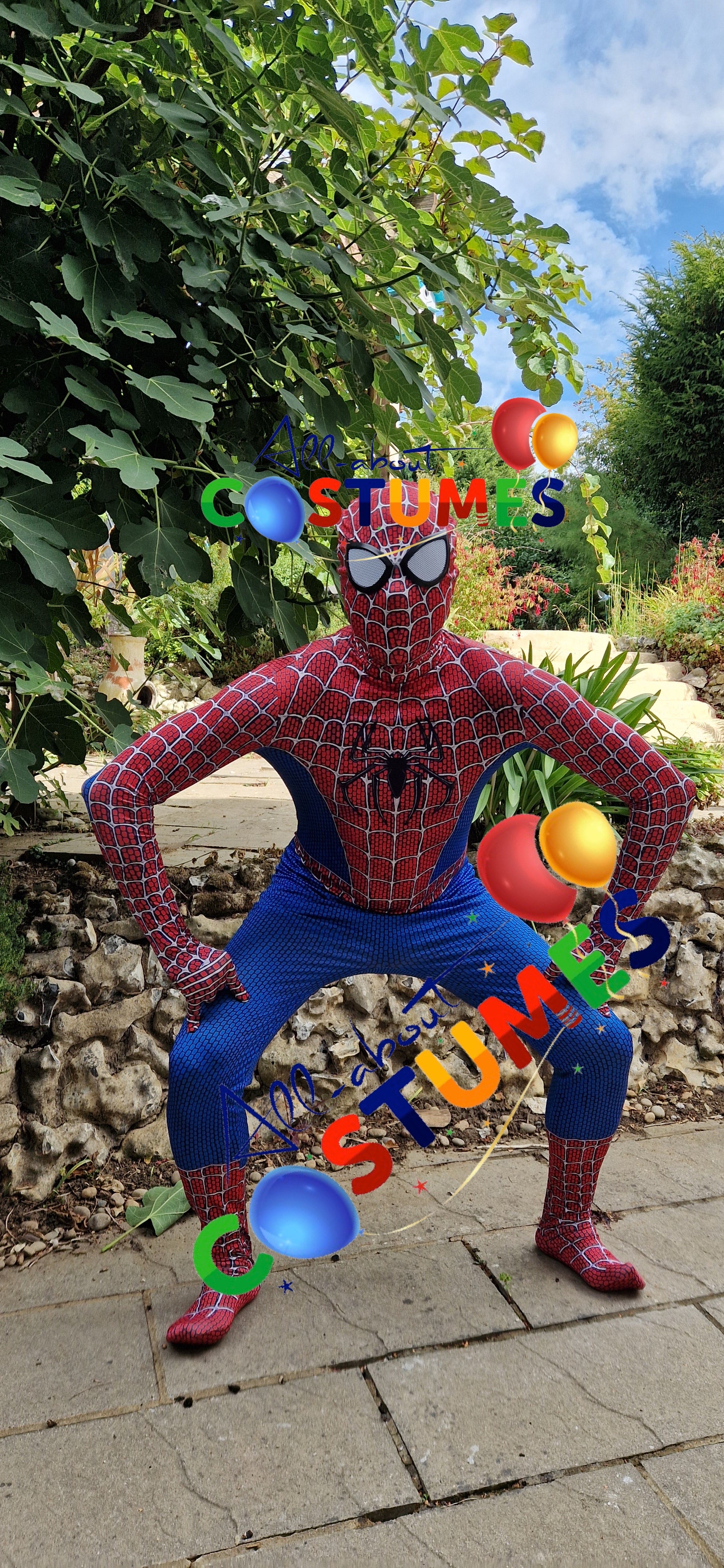 Hombre Araña