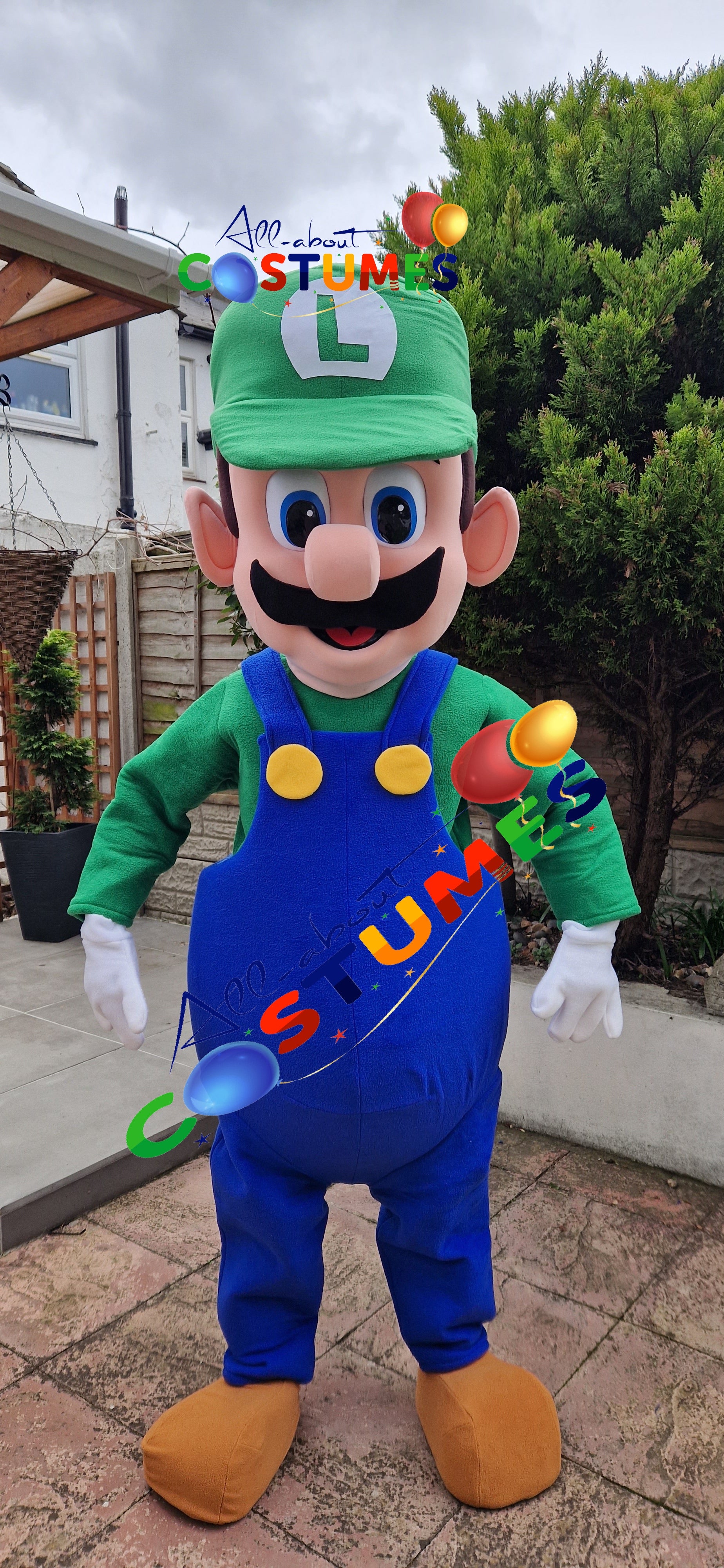 luigi