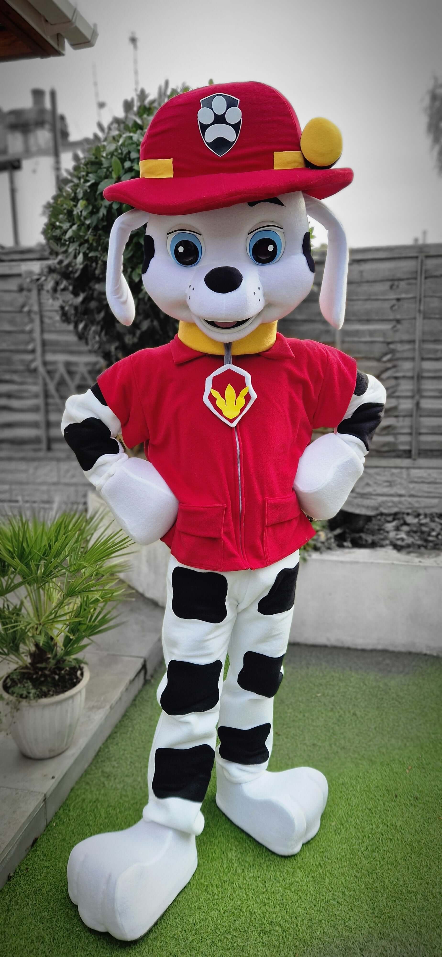 Paw Patrol Marshall with Pink Paws B