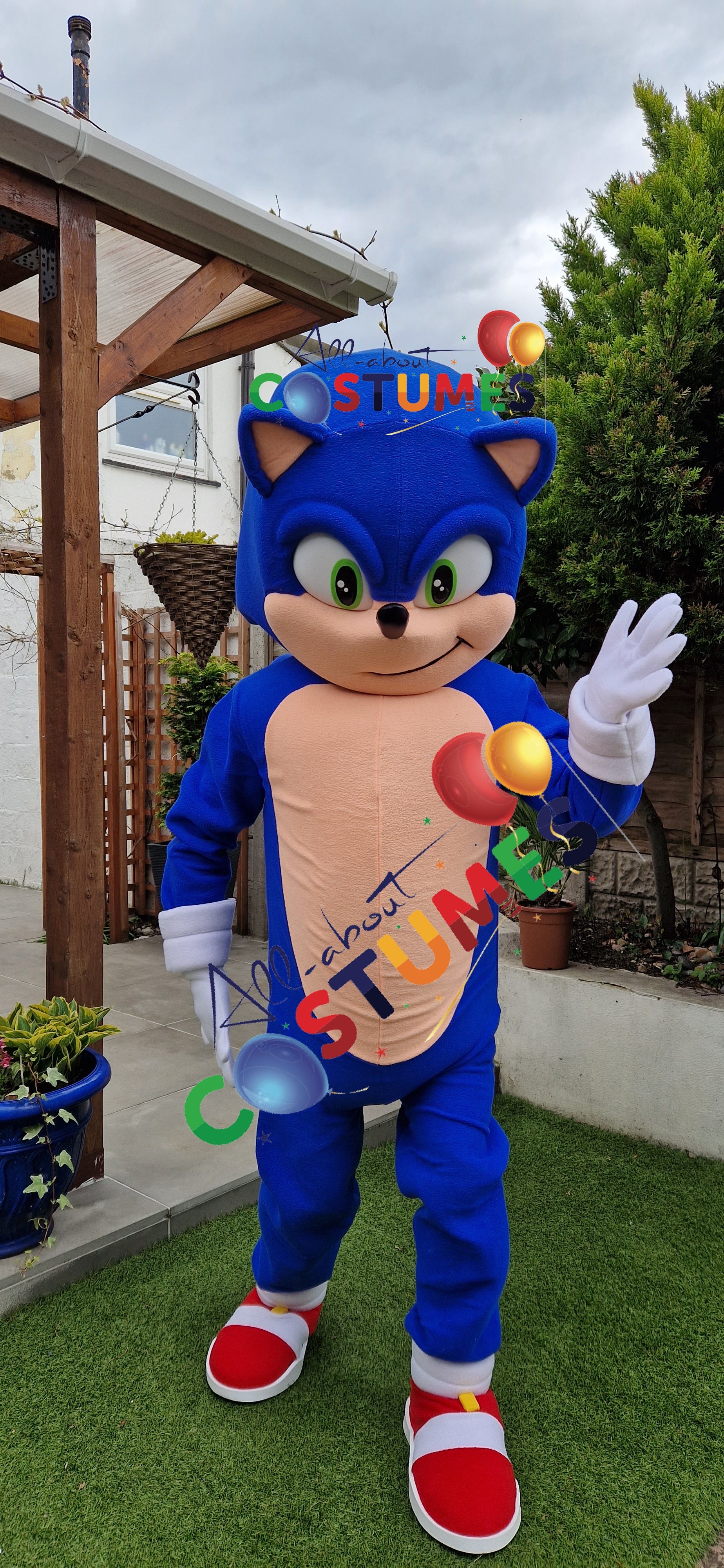 Sonic rápido de lujo