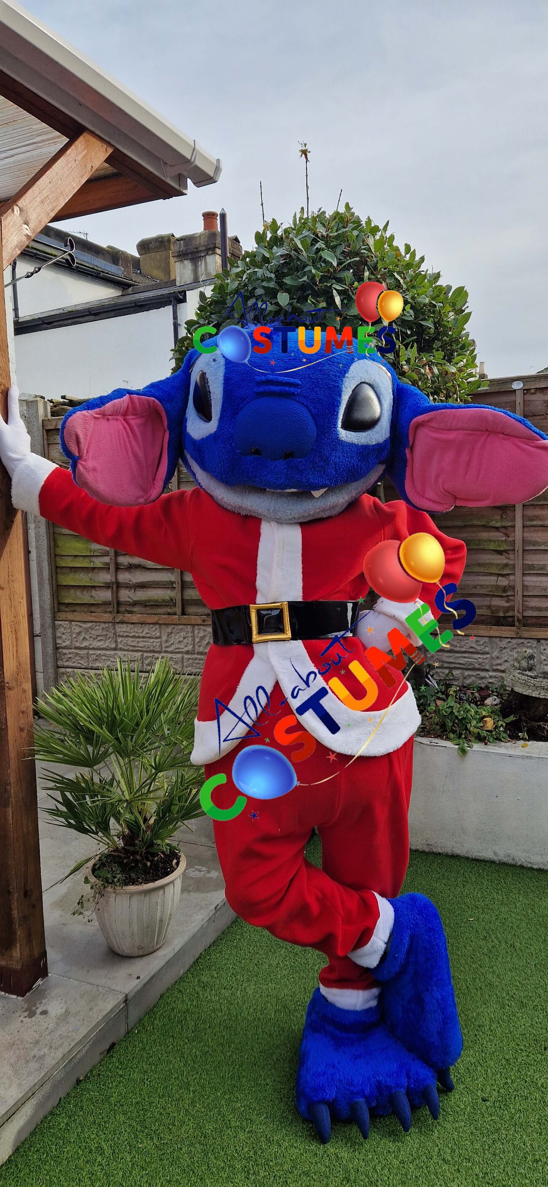 Z Elf en el estante Navidad