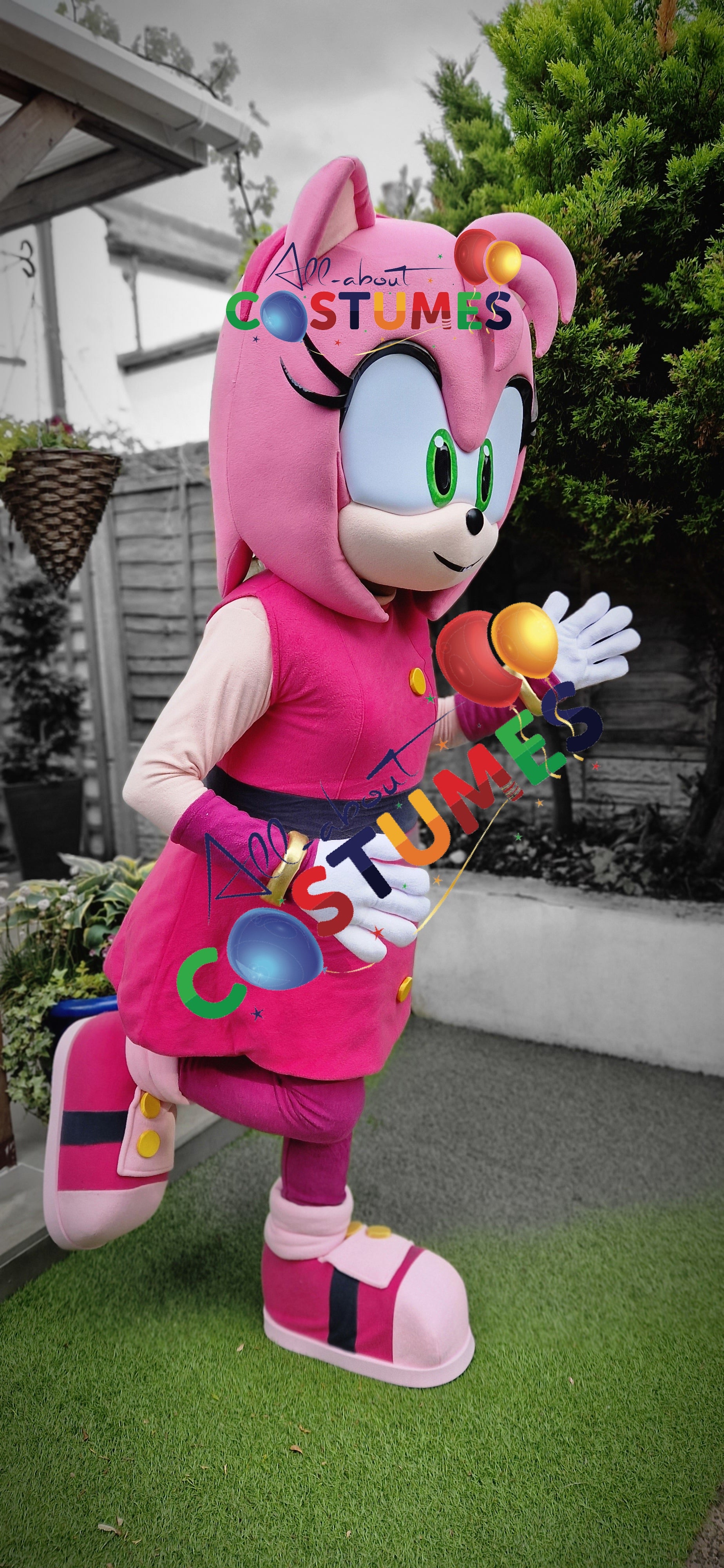 Amy Rose Sonic X
