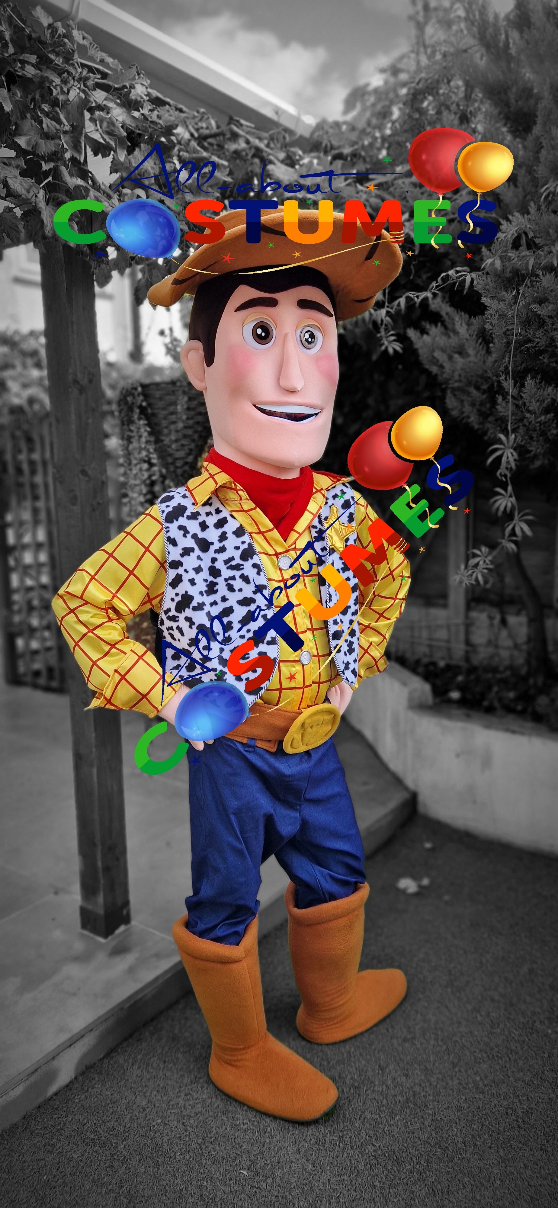 Toy Story Woody