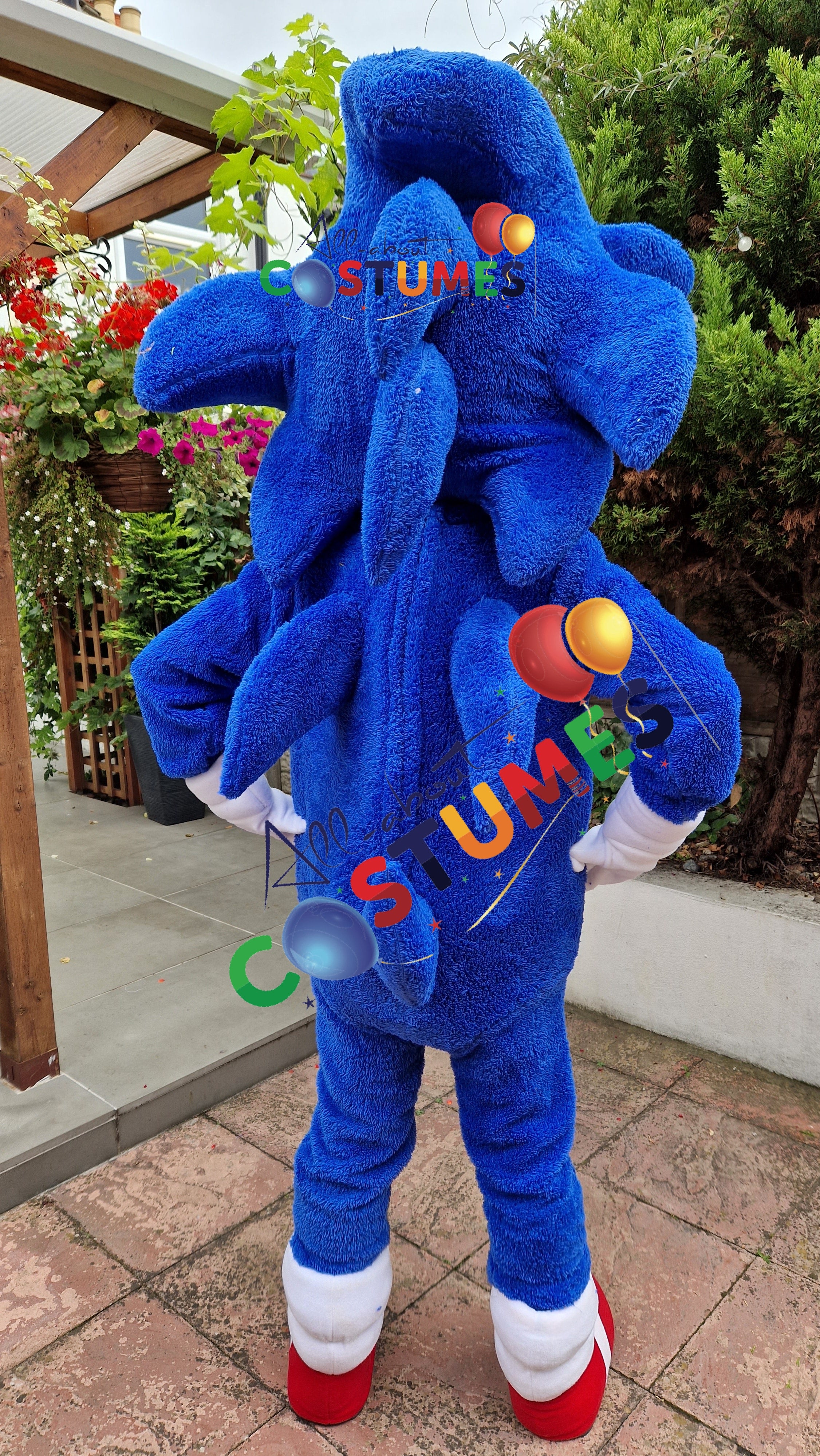 Sonic el erizo Edición limitada