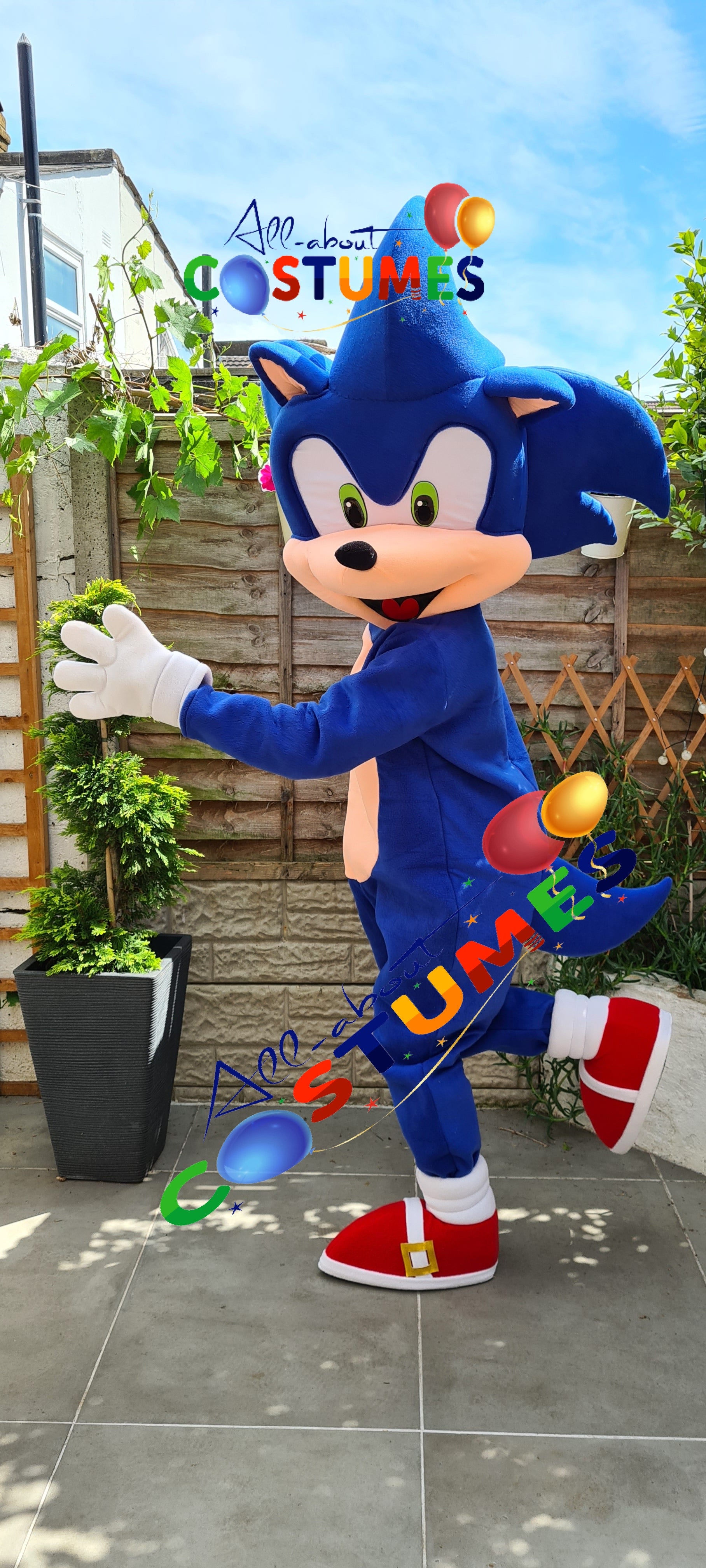 Sonic el erizo