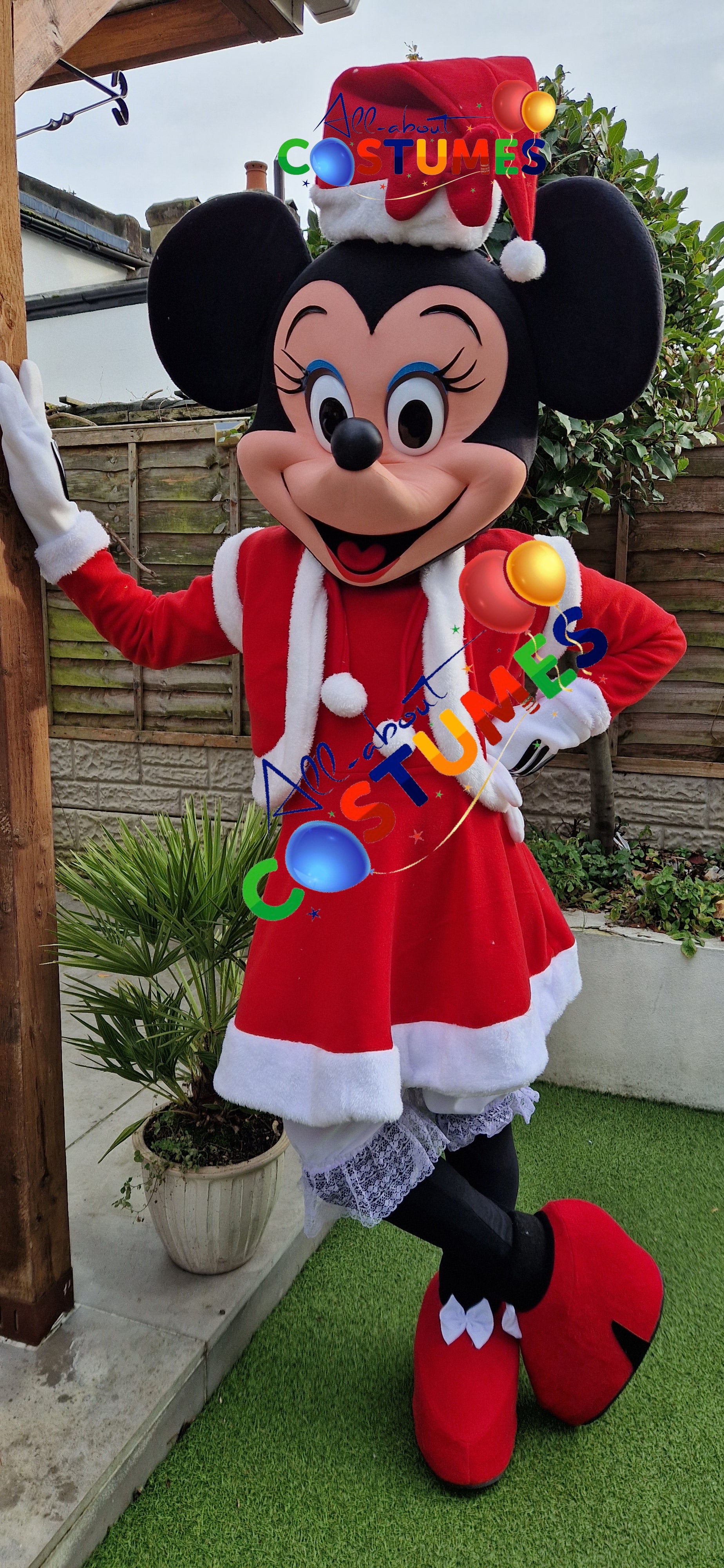 Z Elf en el estante Navidad