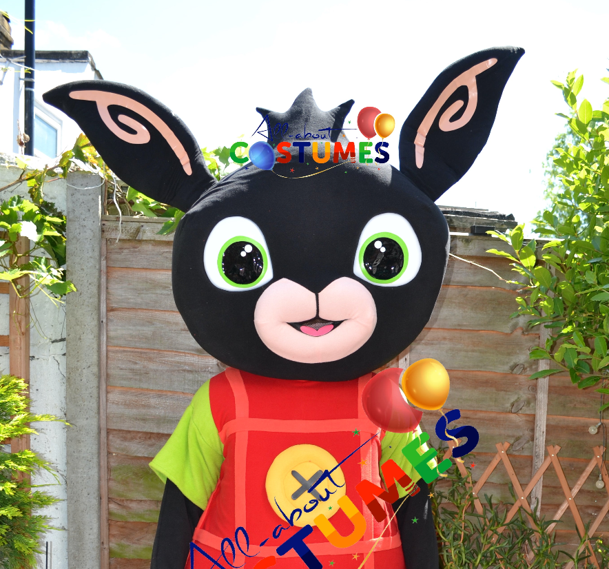 Costume carnevale bing discount