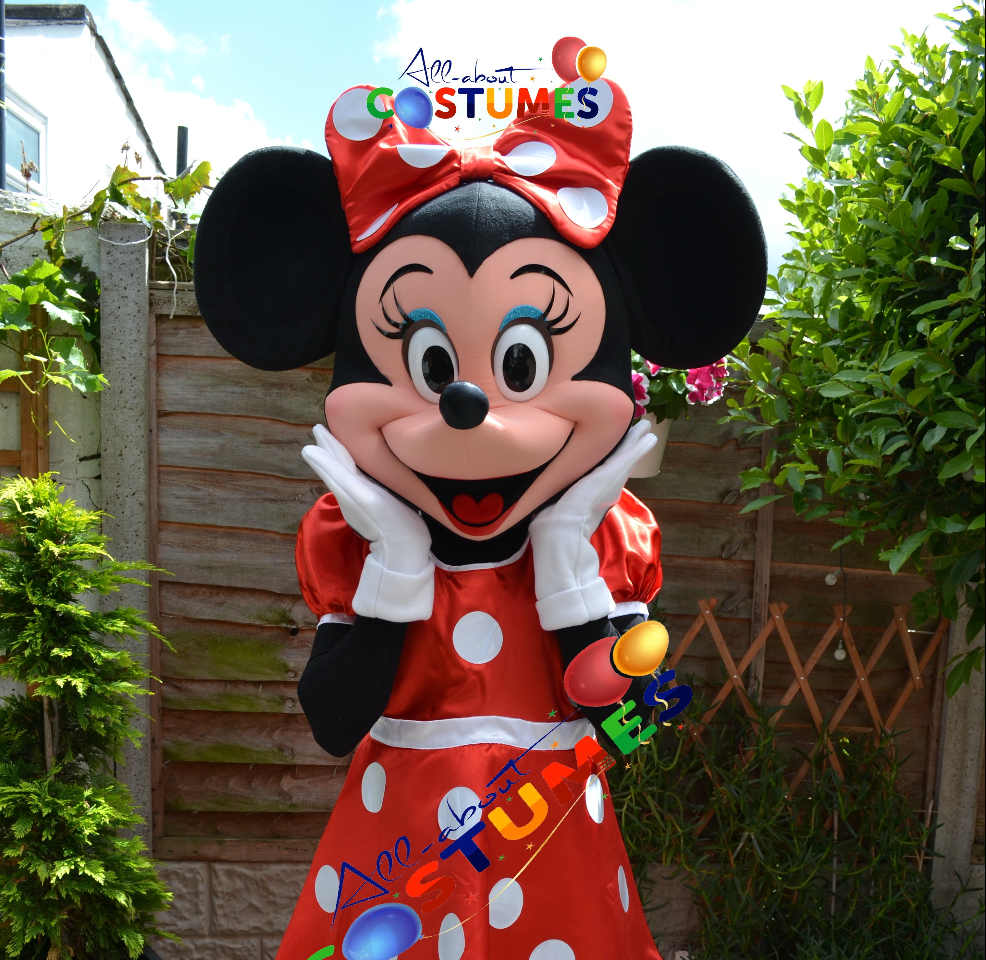Minnie Mouse Costume