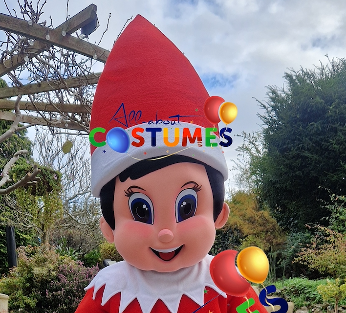 Z Elf en el estante Navidad