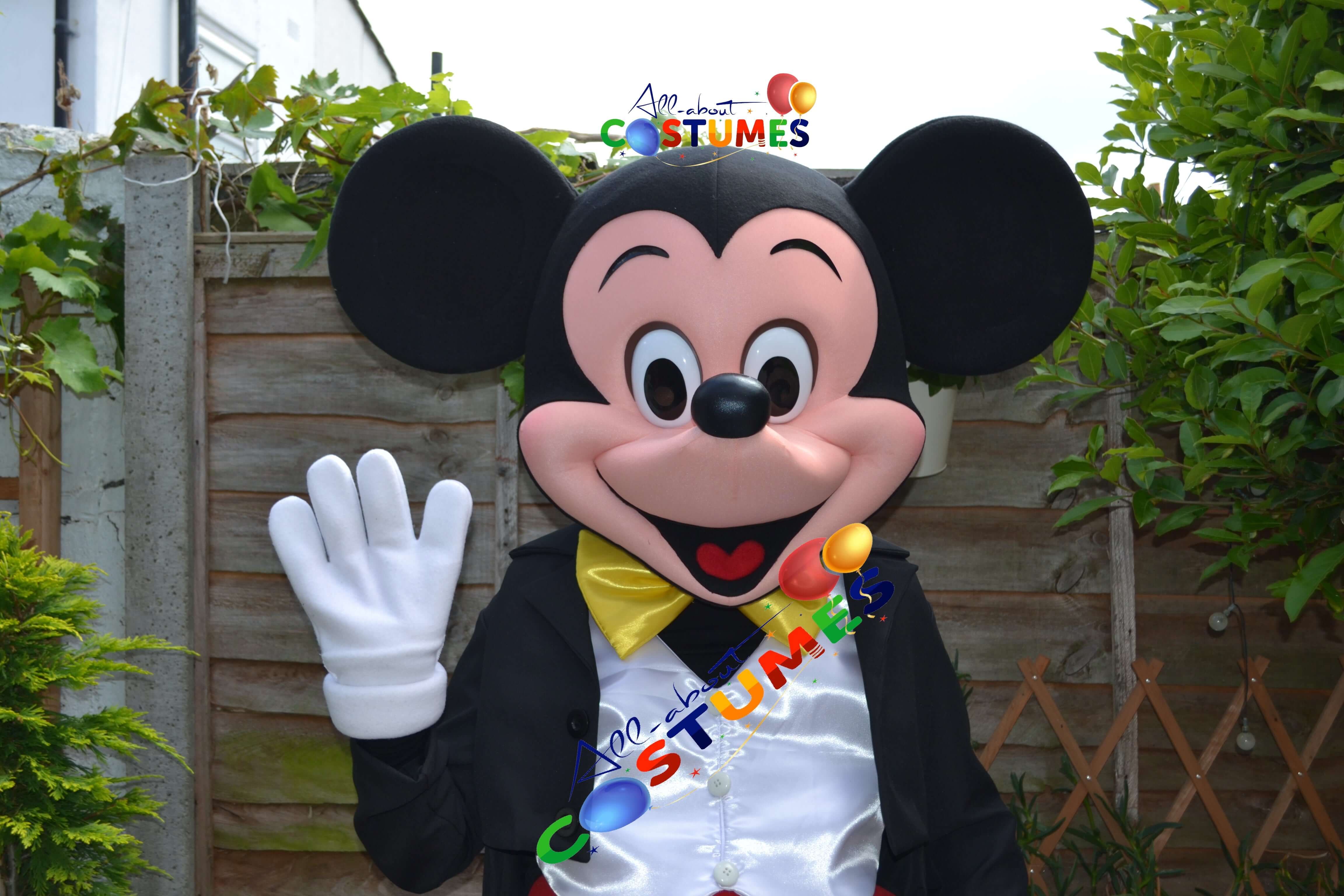 Premium Mickey & Minnie Costume