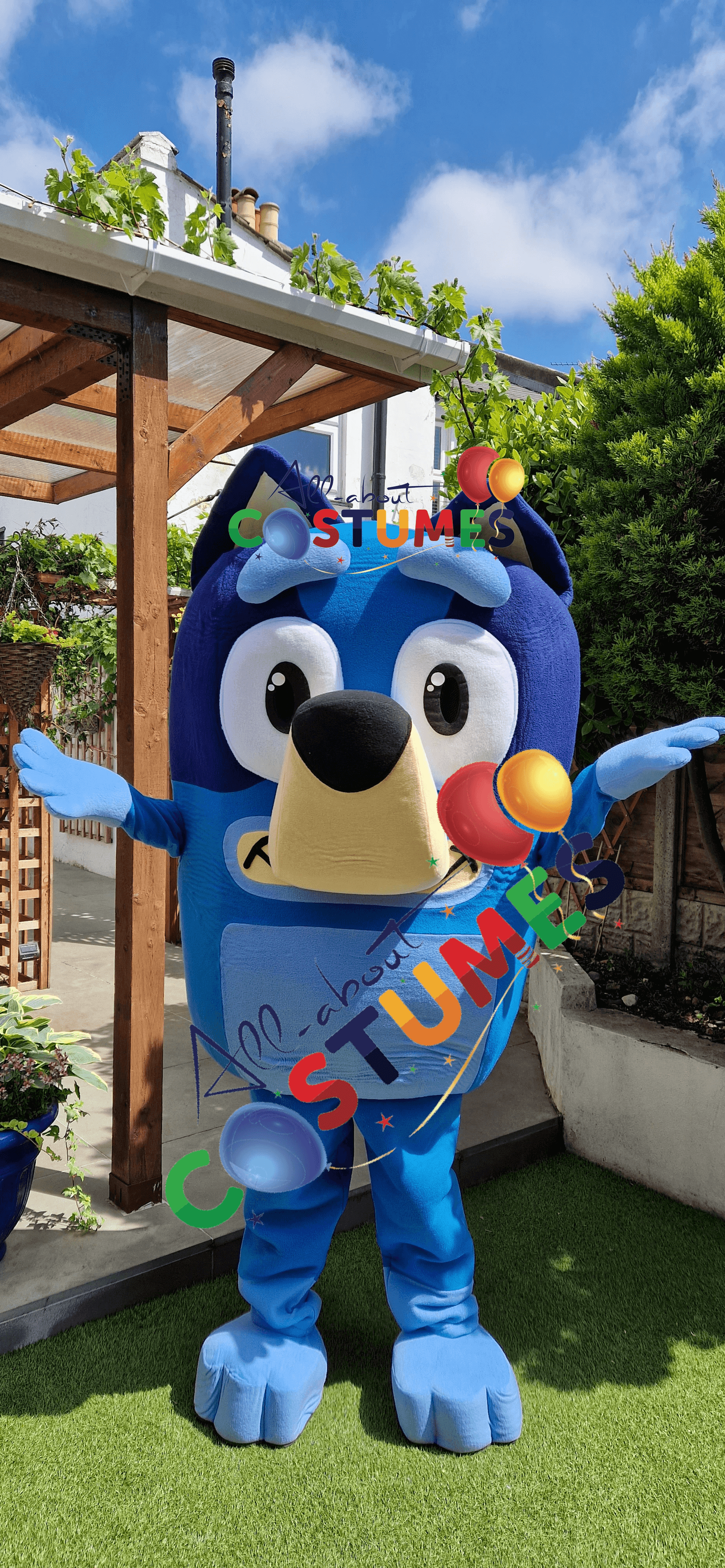 Bluey & Bingo