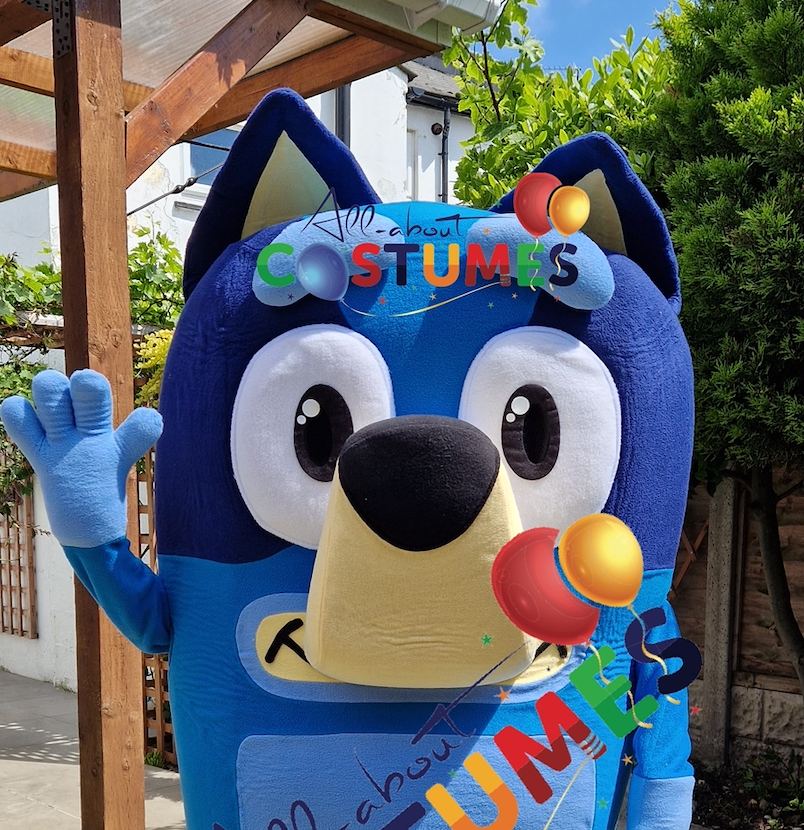 Bluey & Bingo