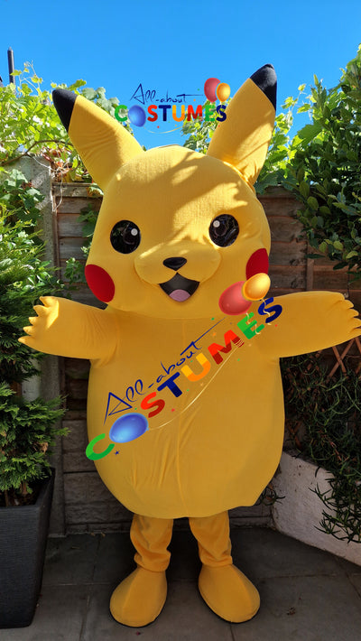 Pikachu Pokémon