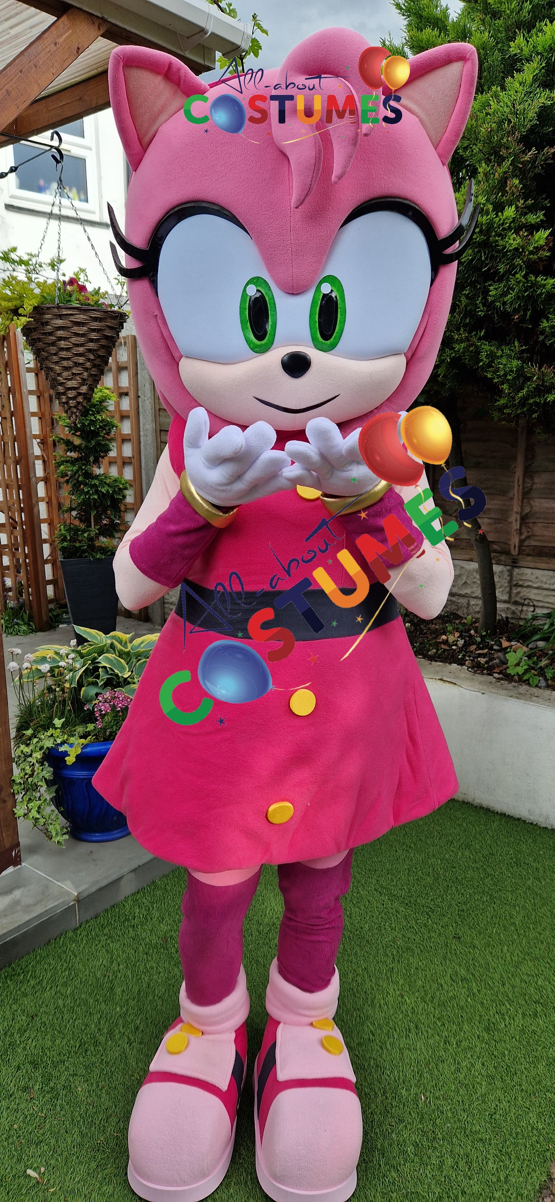 Amy Rose Sonic X