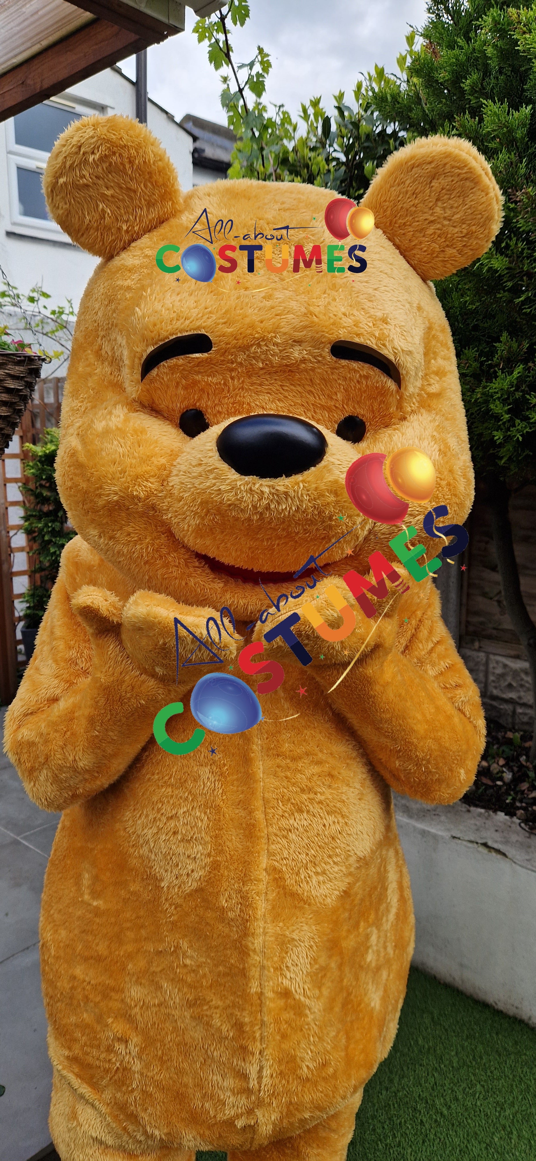 Teddy Bear