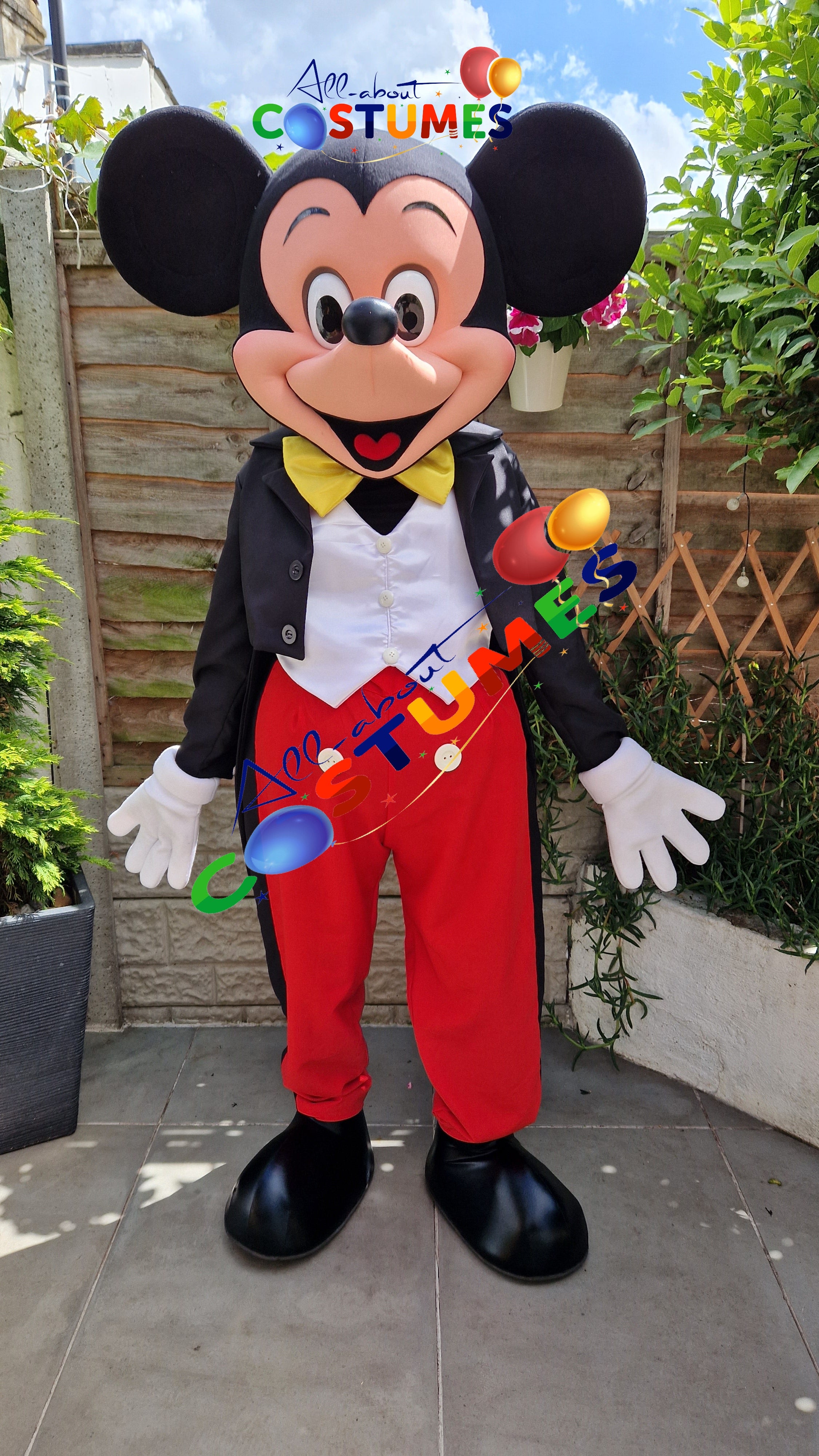 Mickey Mouse Costume