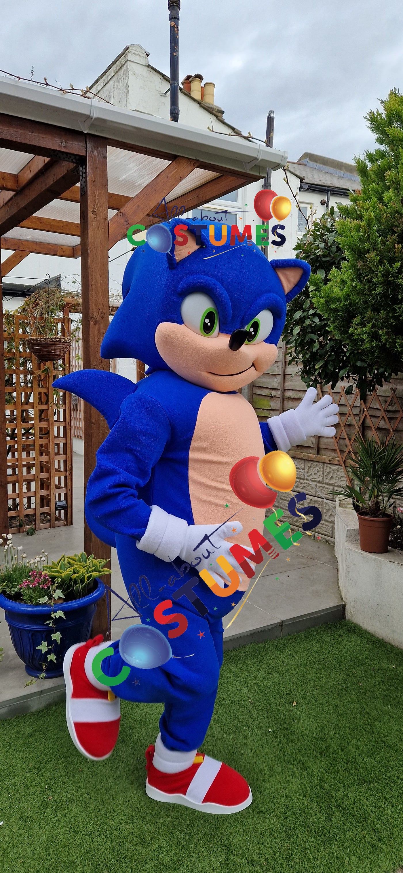 Deluxe Sonic Fast