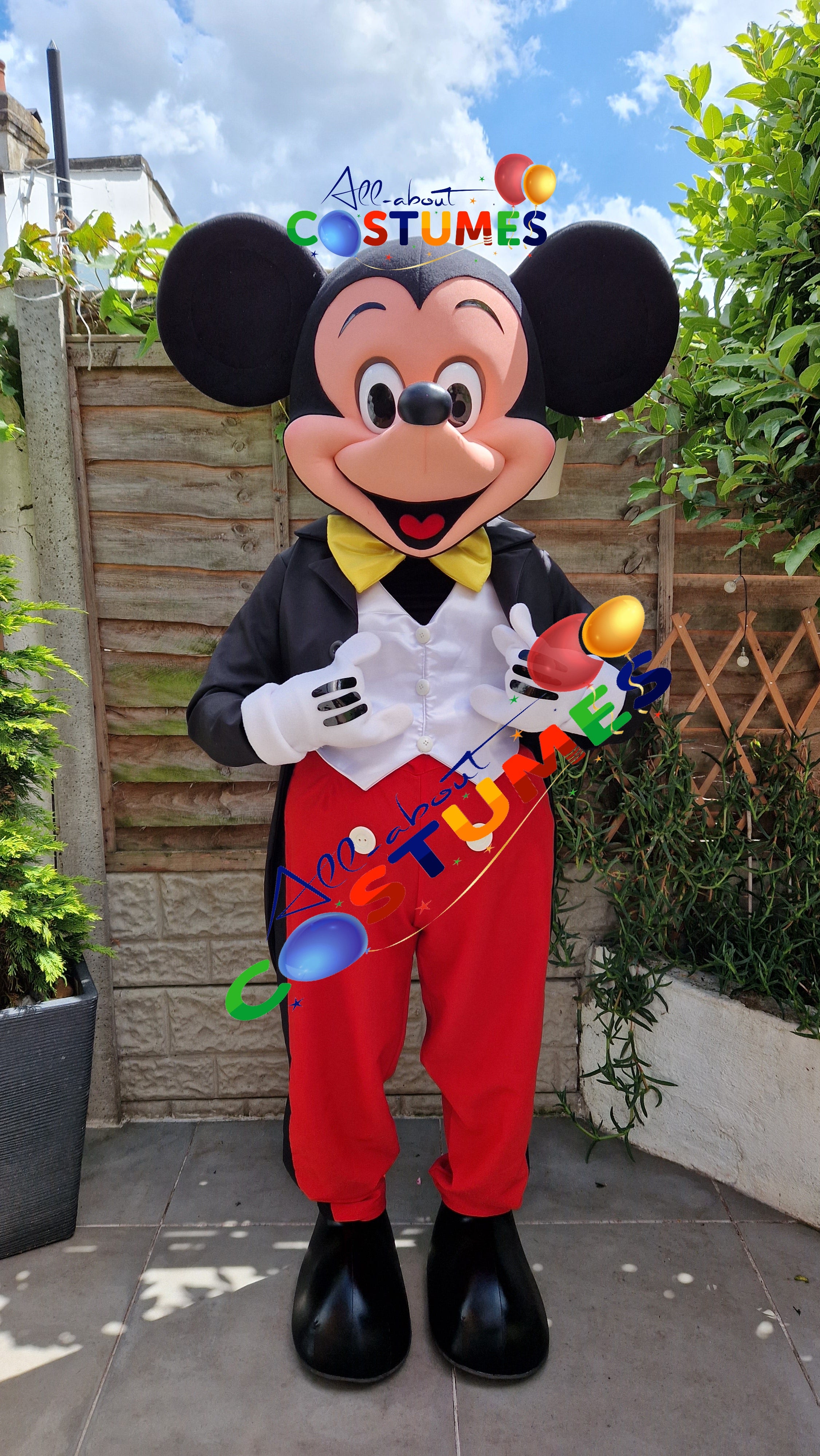 Mickey Mouse Costume