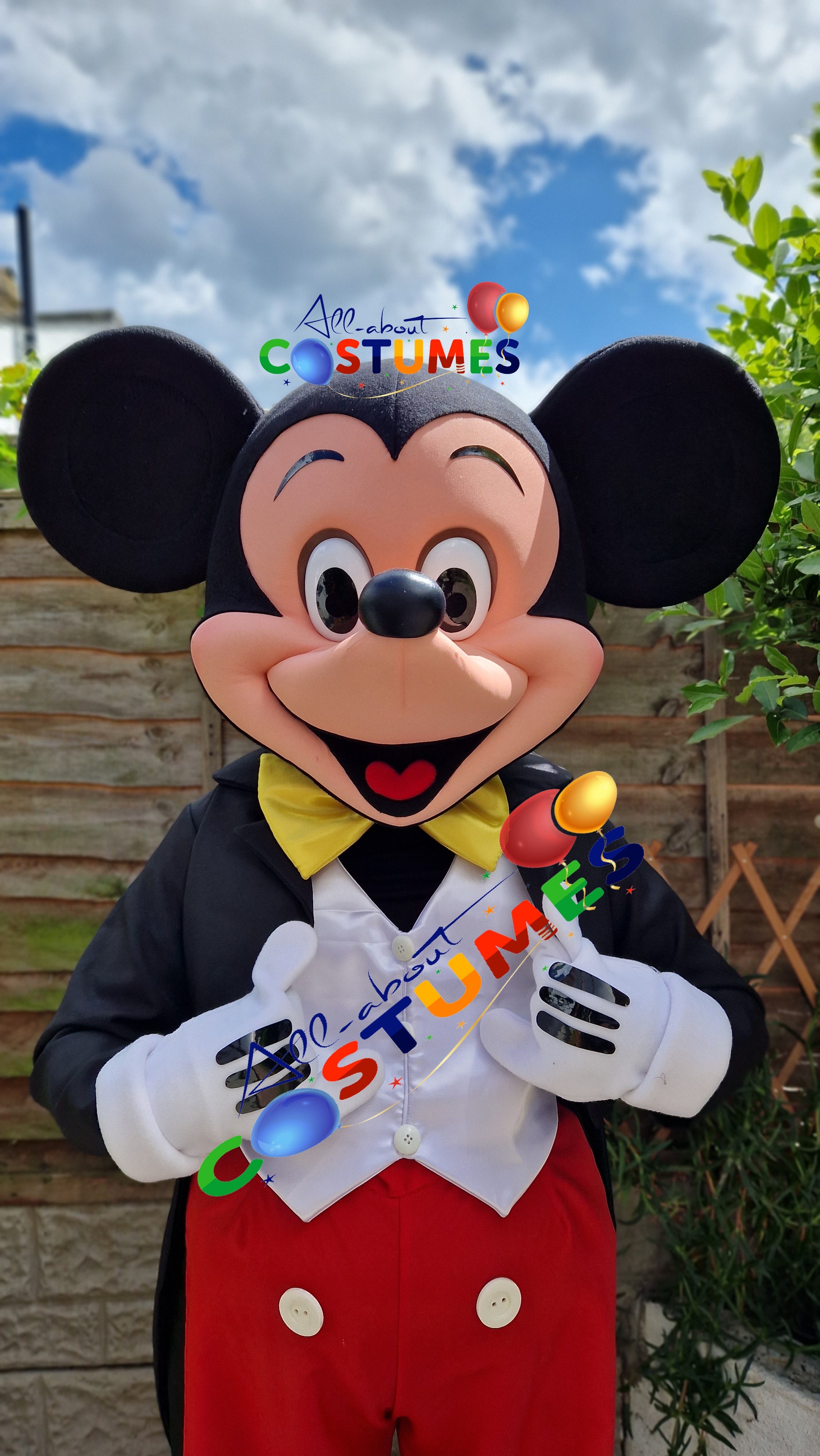 Mickey Mouse Costume