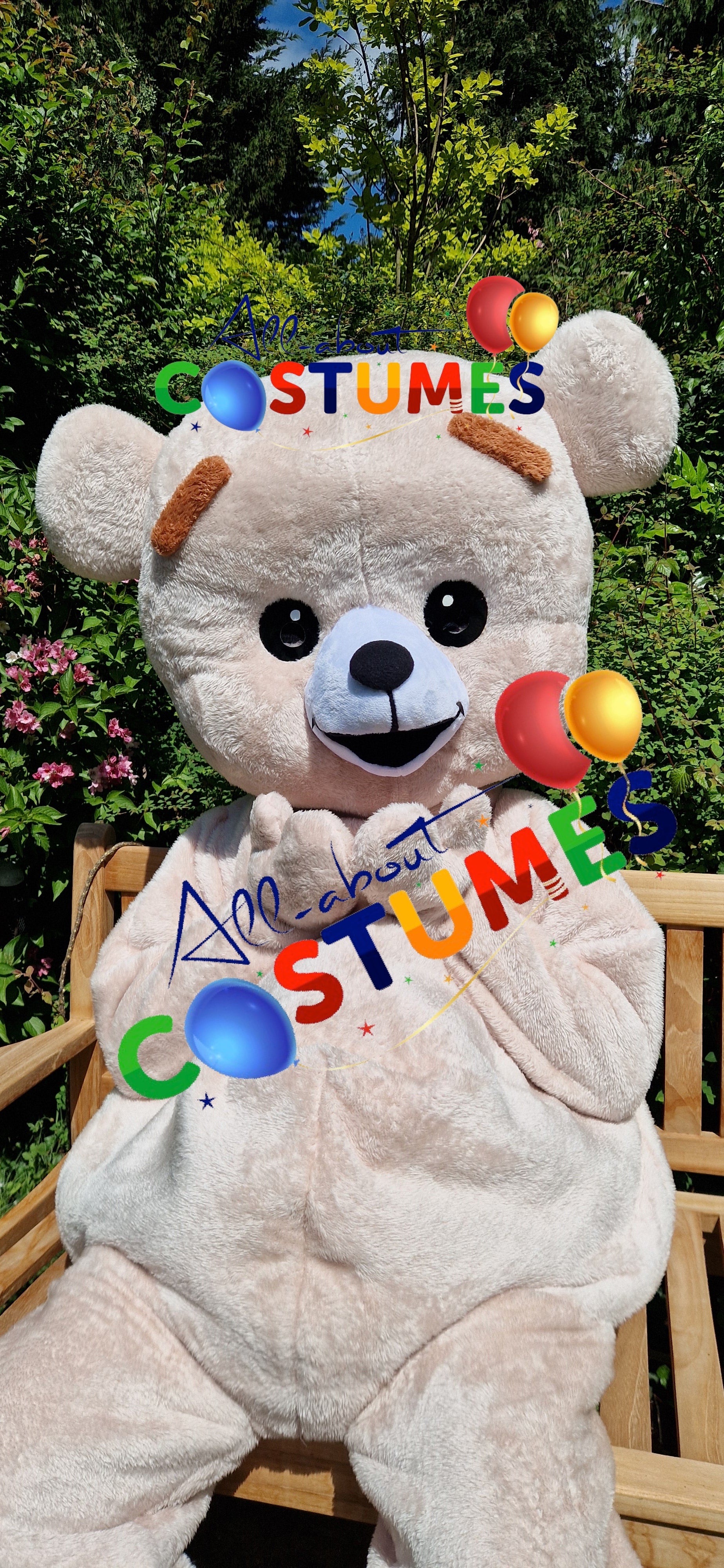 Premium Teddy Bear