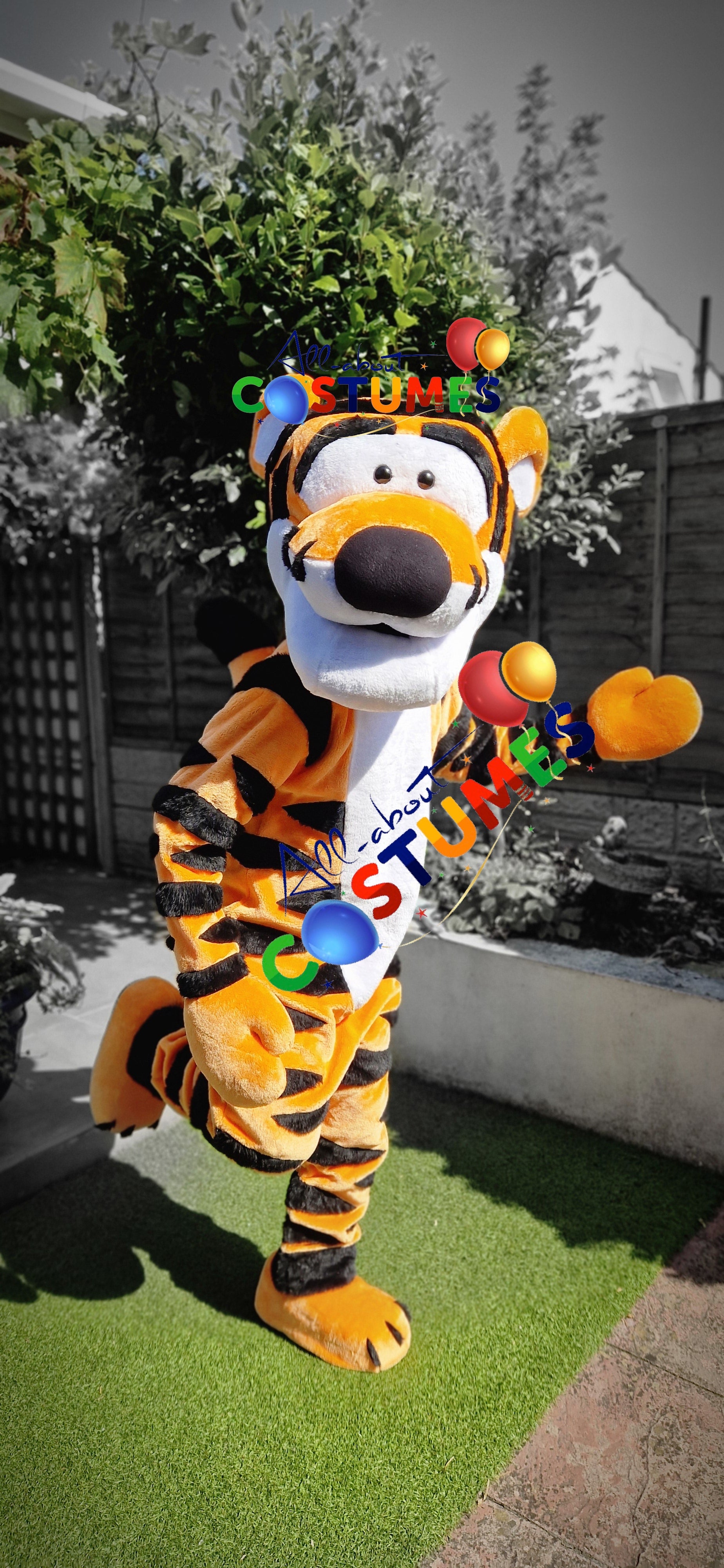 Tigger Winnie the Pooh Bear