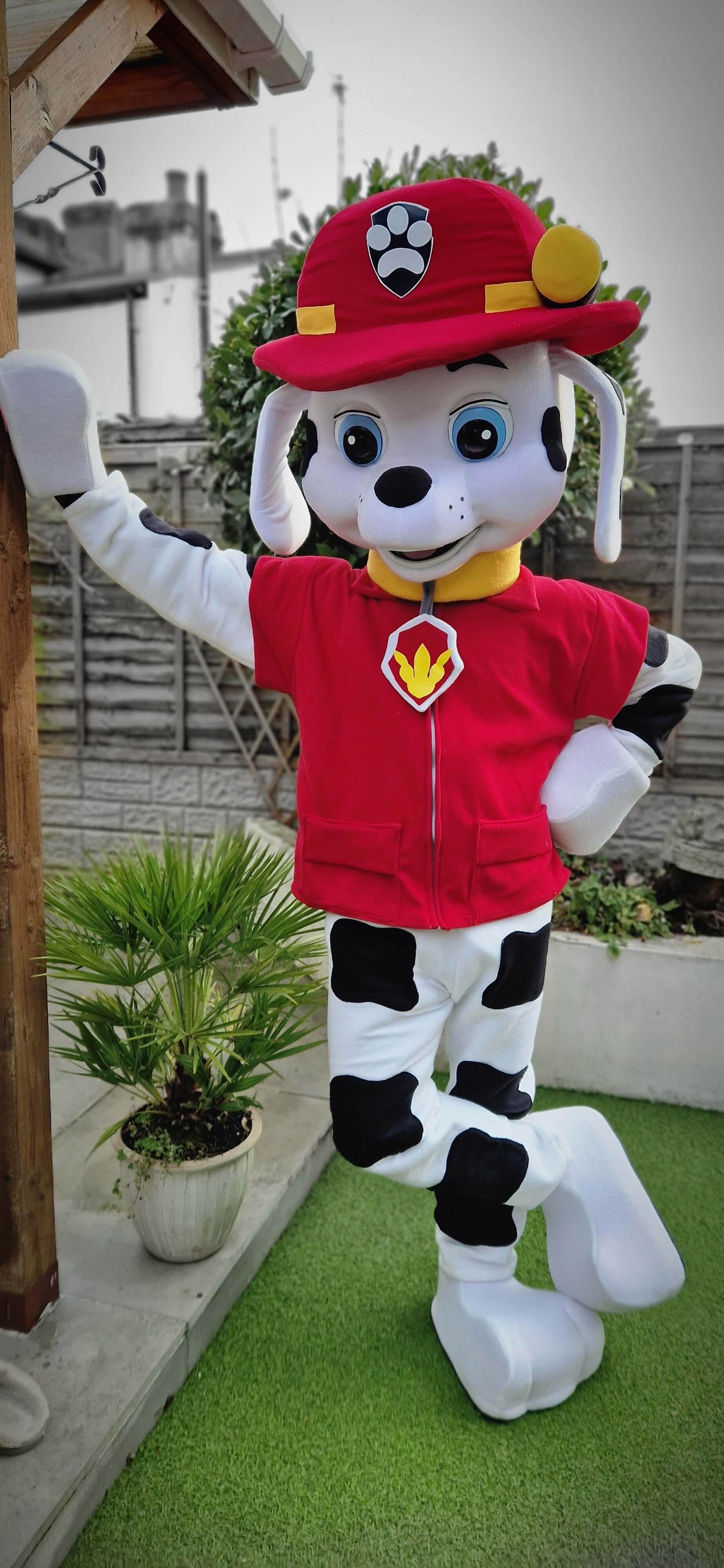 Paw Patrol Marshall with Pink Paws B