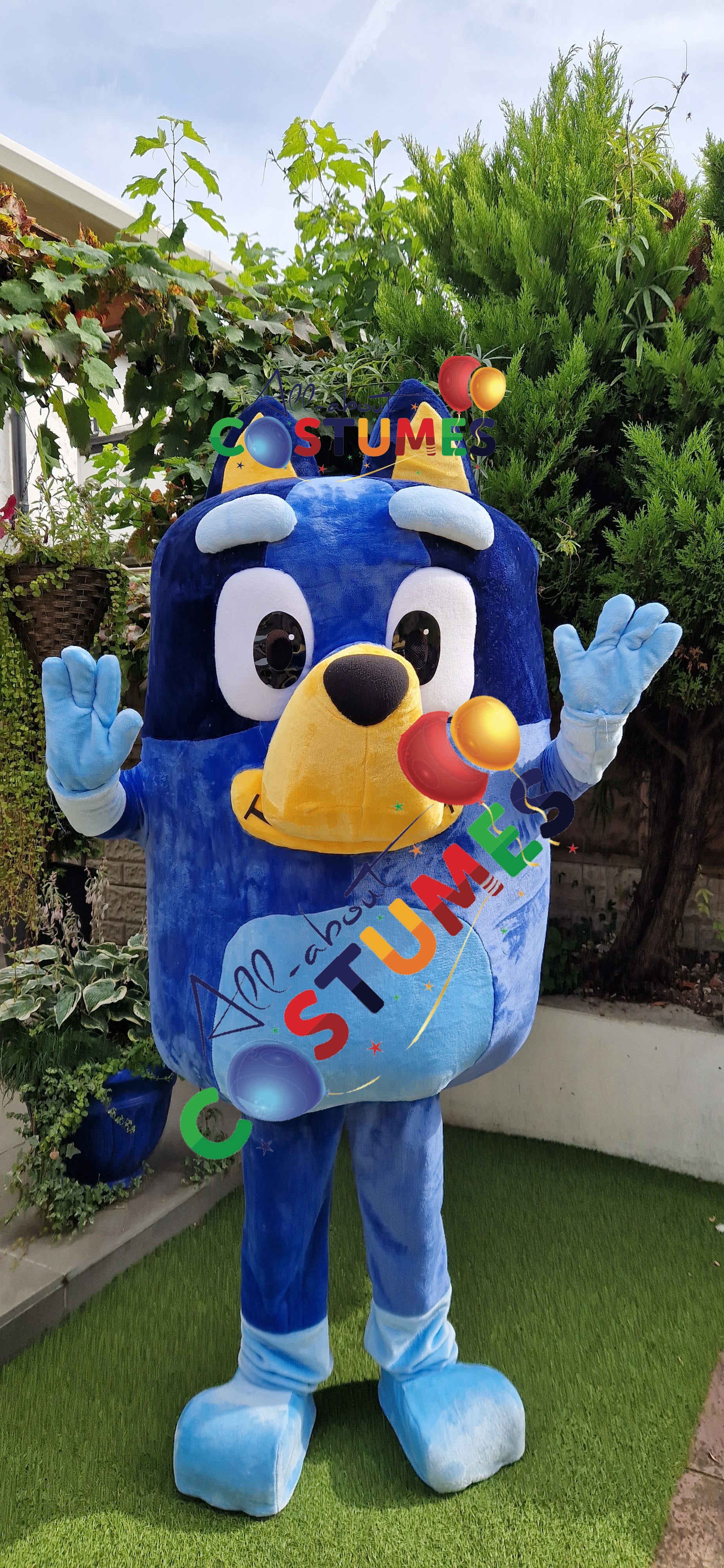 X Bluey C