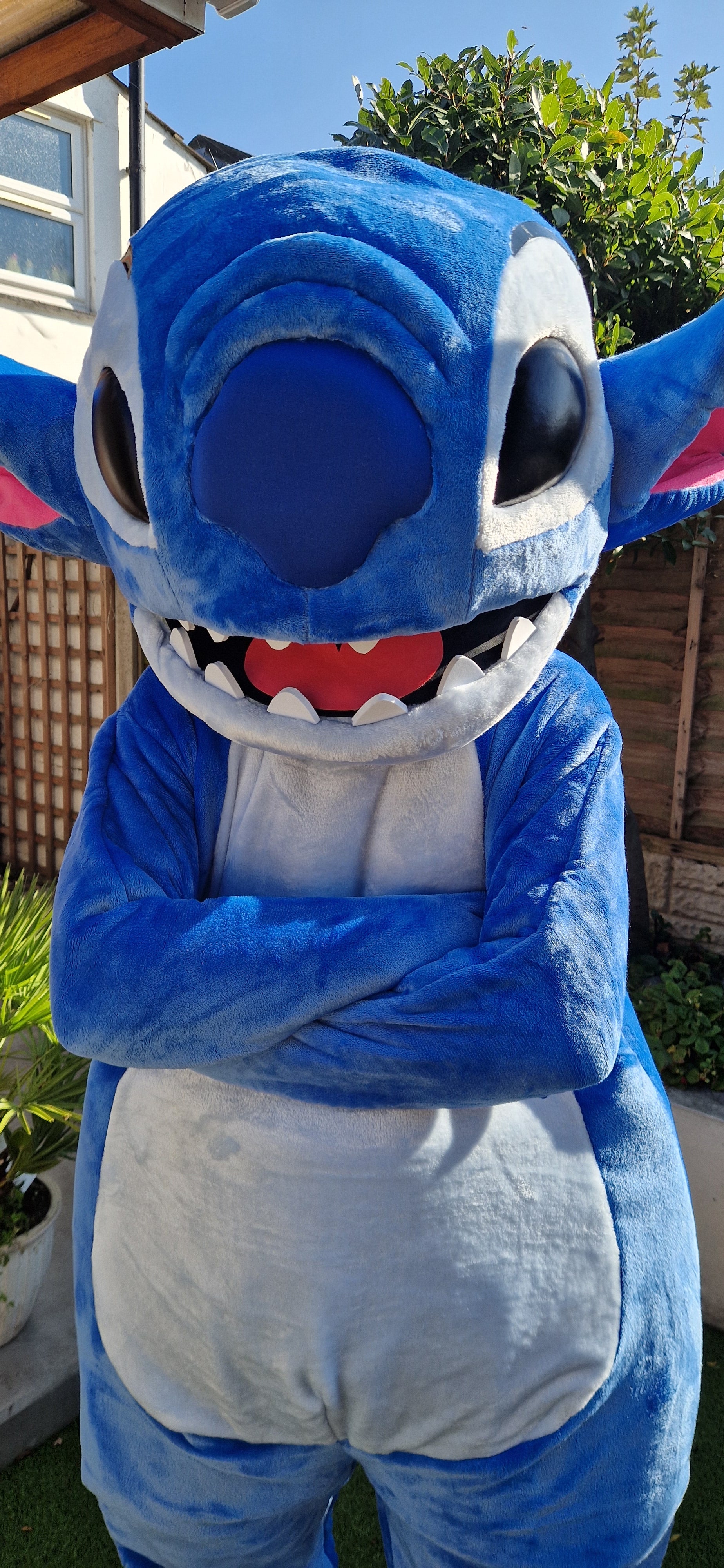 Stitch Costume