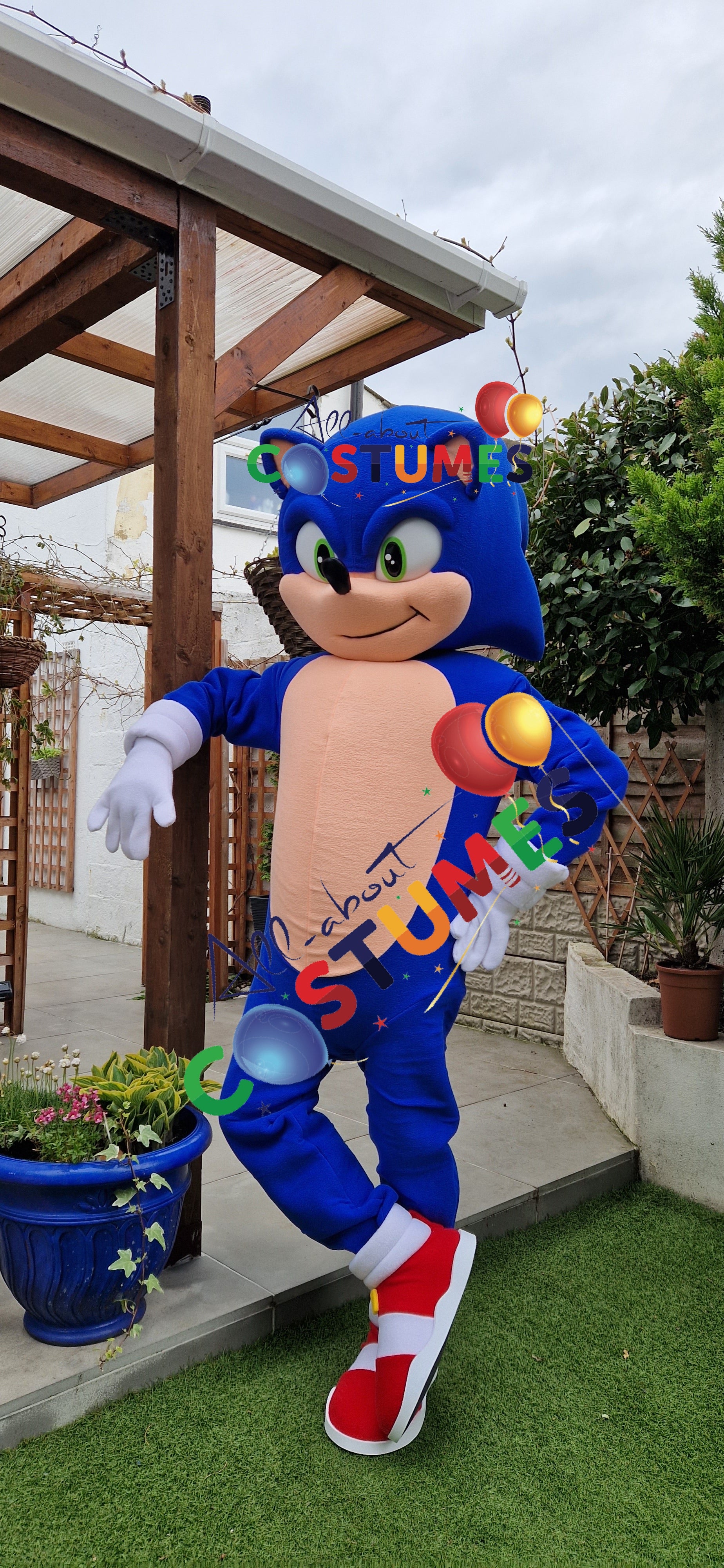 Sonic rápido de lujo