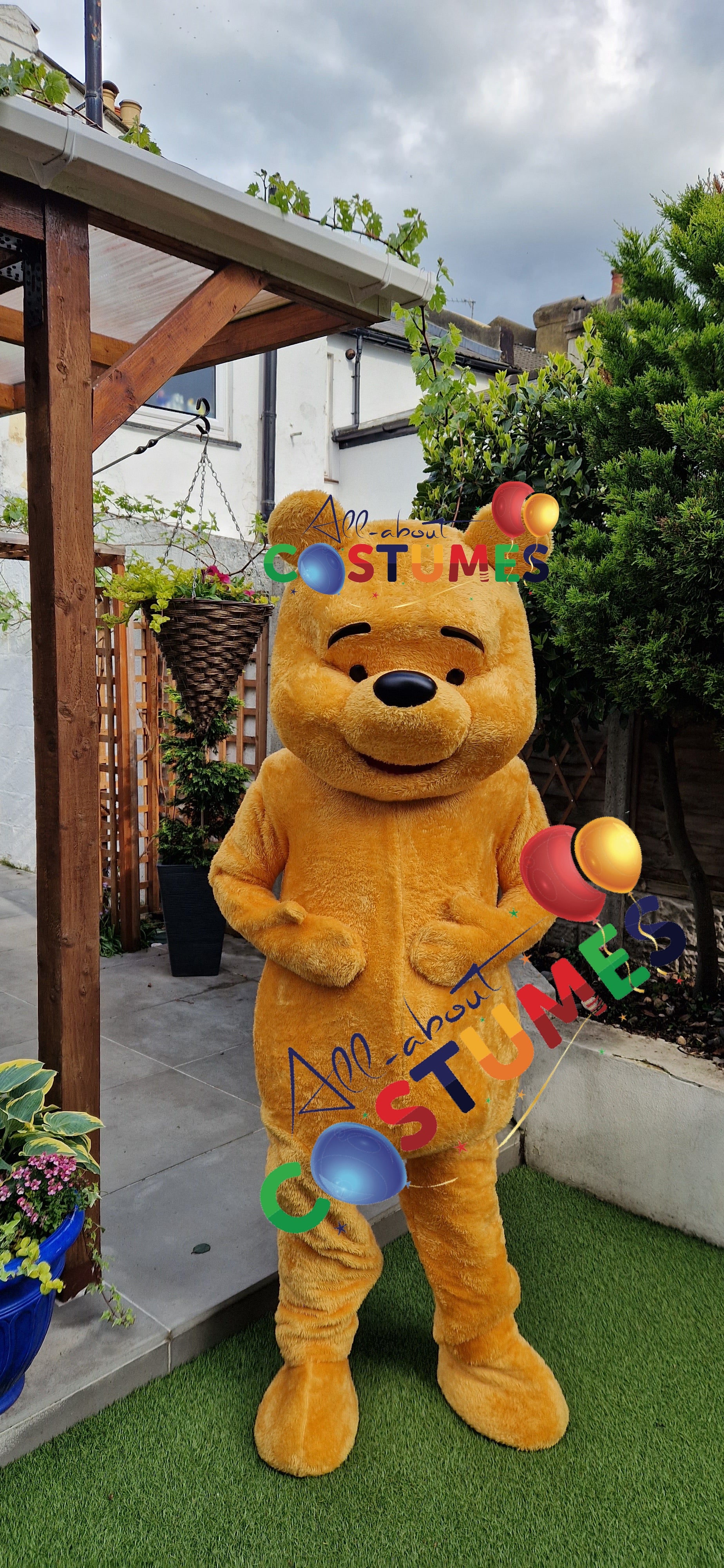 Teddy Bear