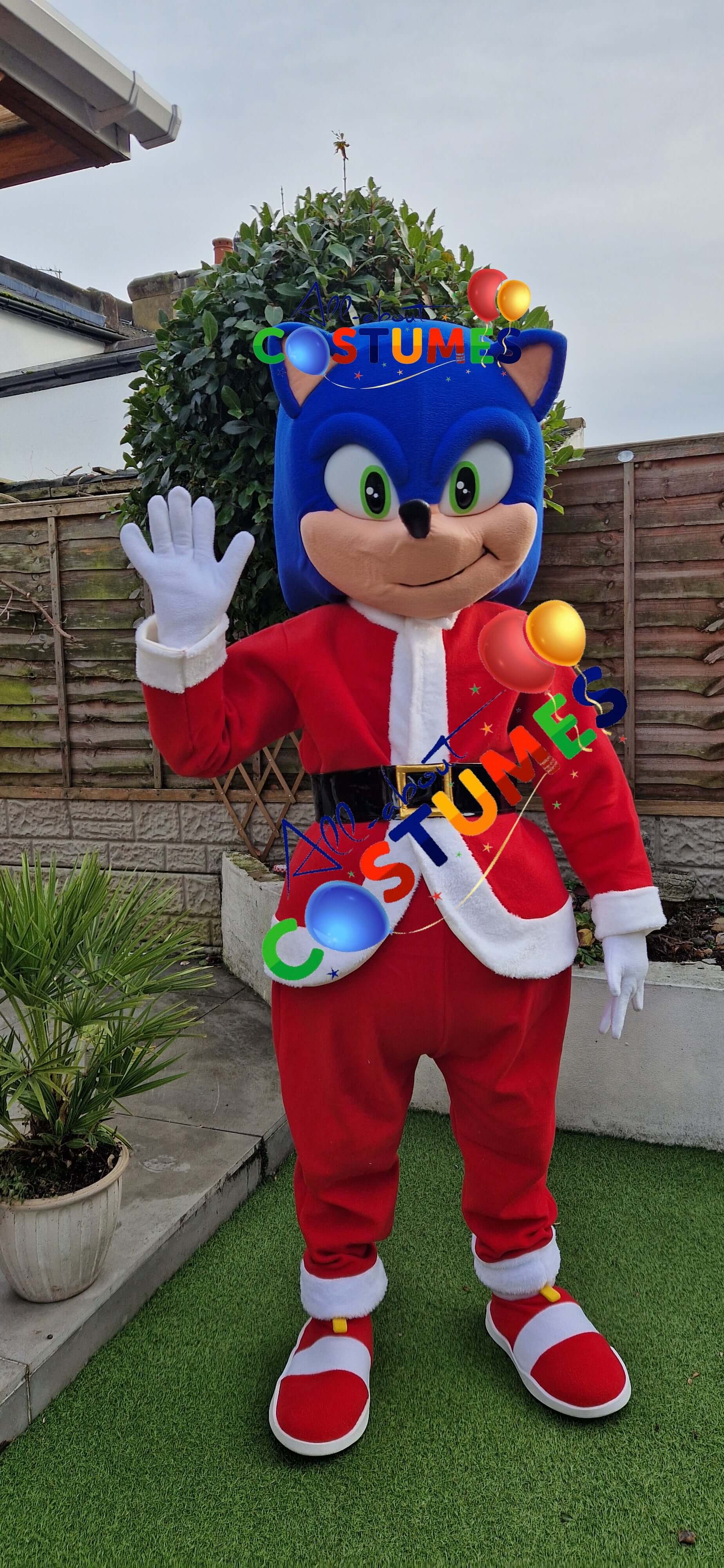 Christmas Sonic Special Edition