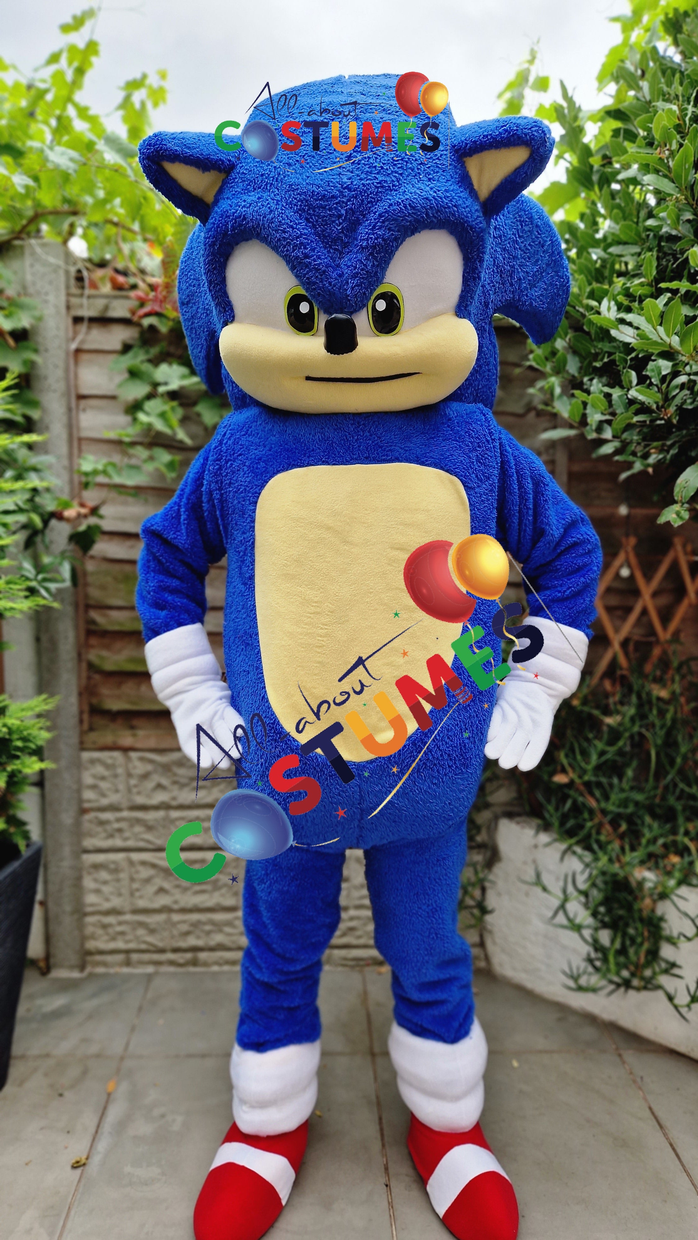 Sonic the Hedgehog Limited Edition