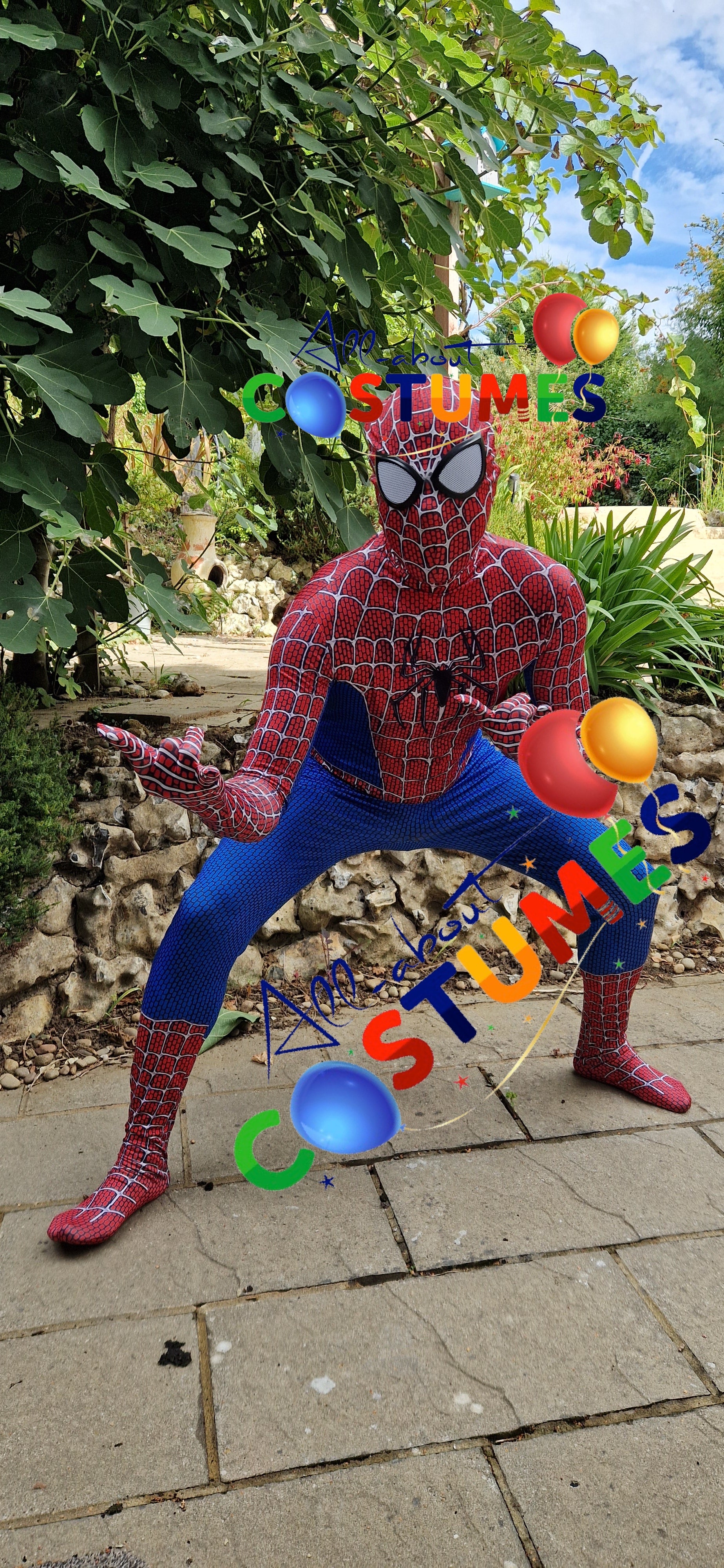 Hombre Araña