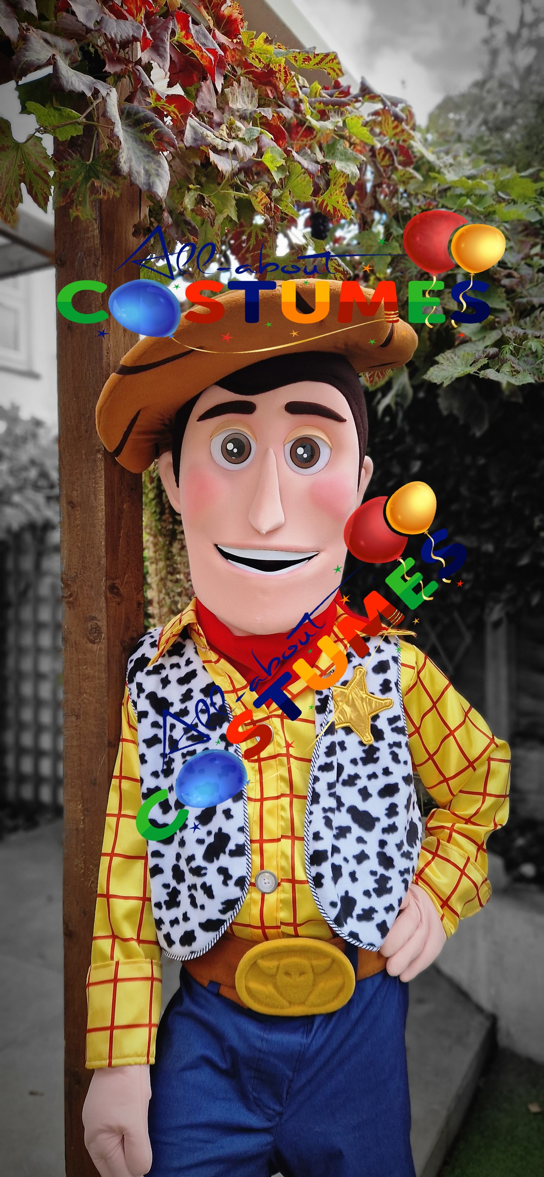 Toy Story Woody