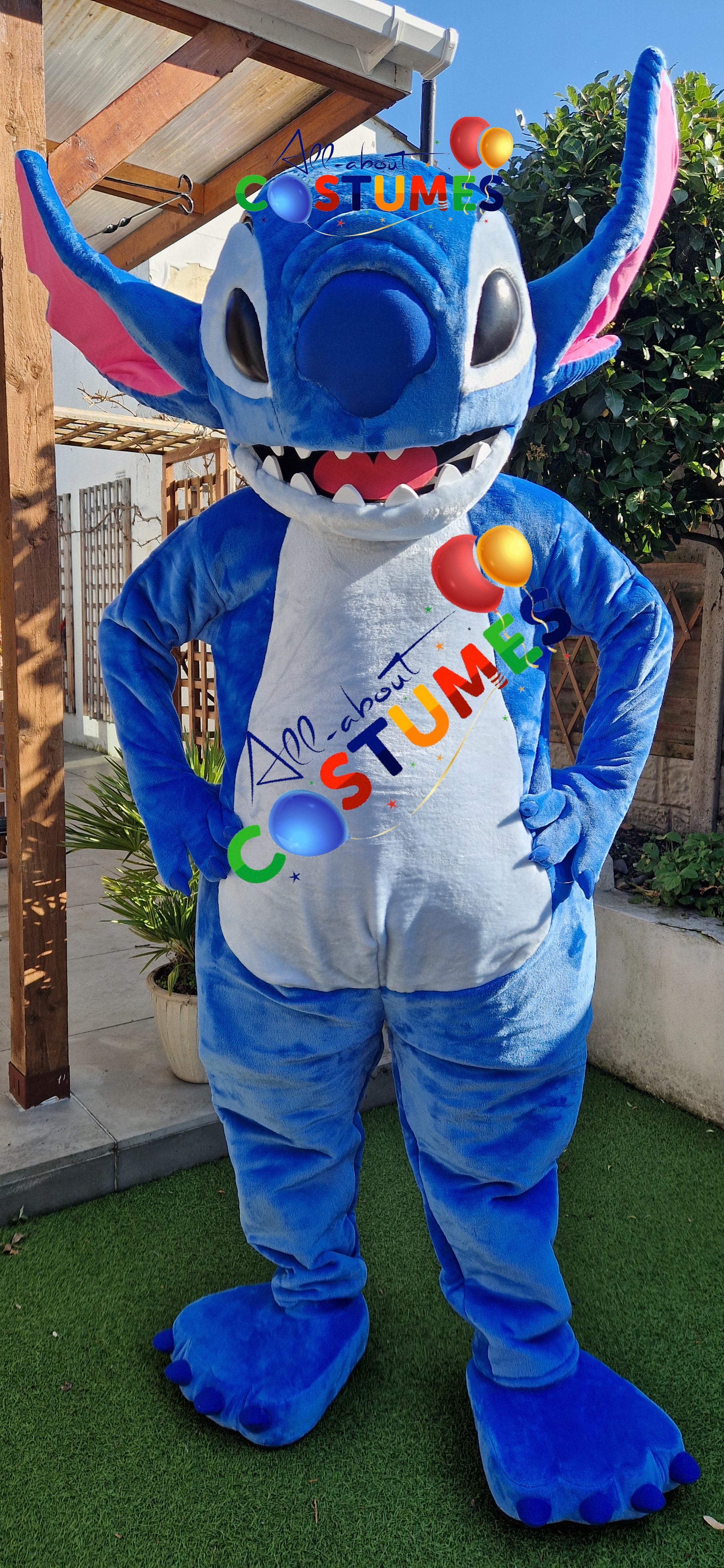 Stitch Costume