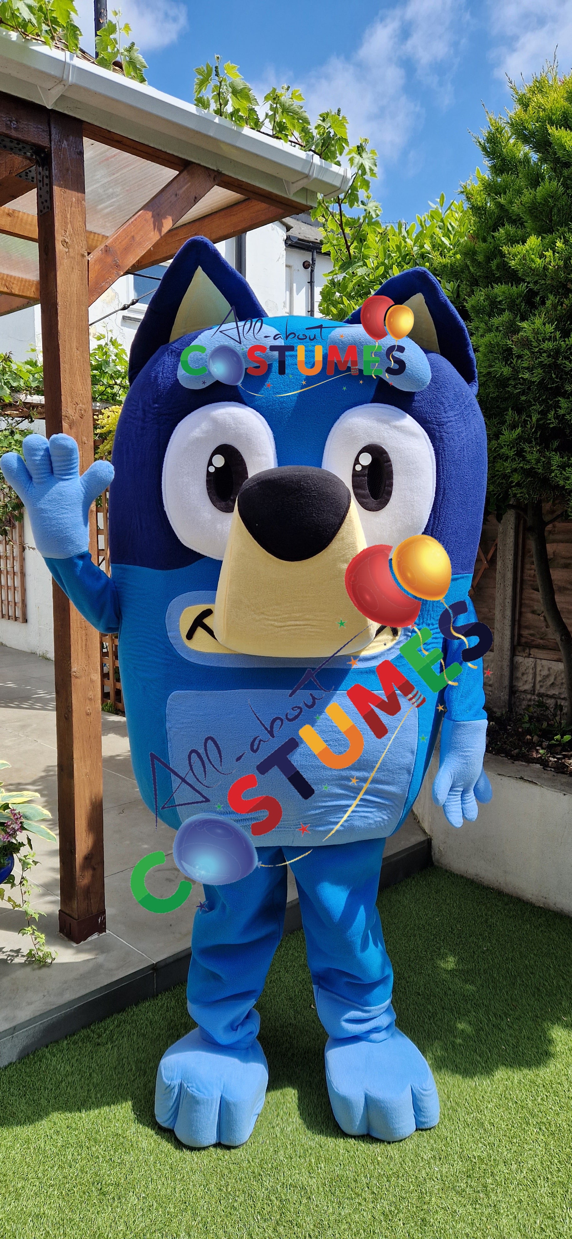 Bluey B