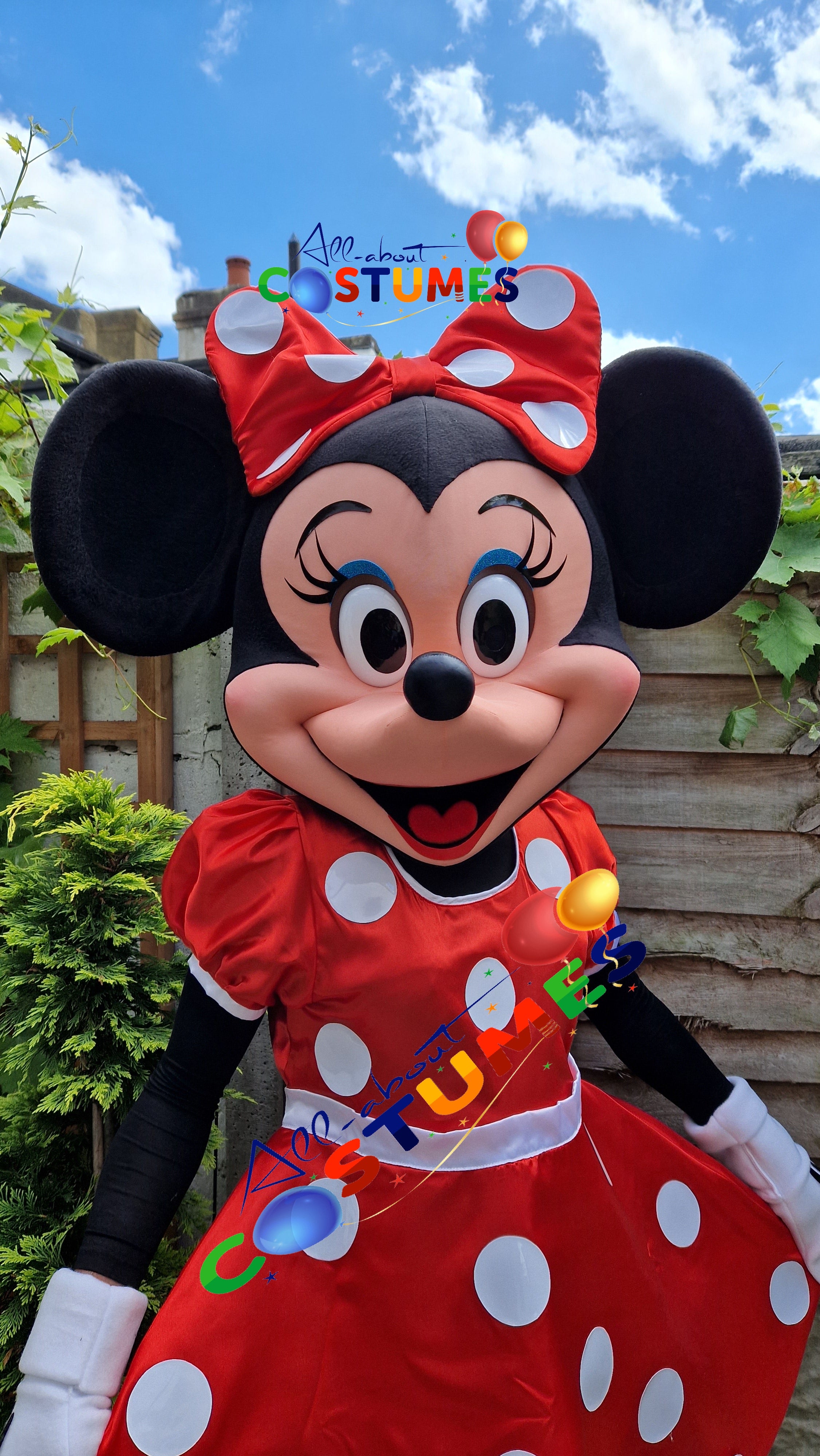 Cheap minnie mouse costume online