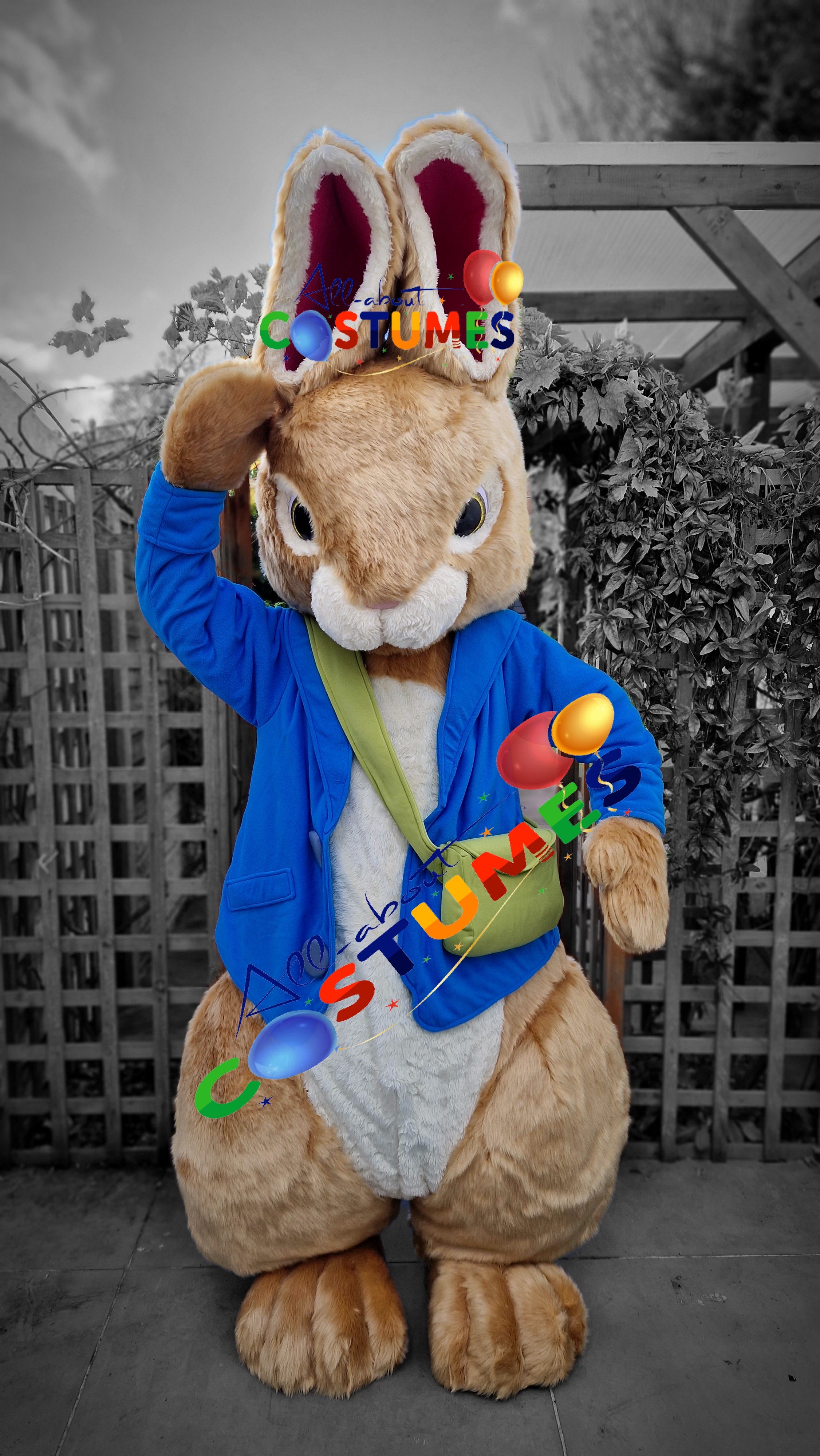 Peter Rabbit Costumes All About Costumes Peter Rabbit Costumes All About Costumes