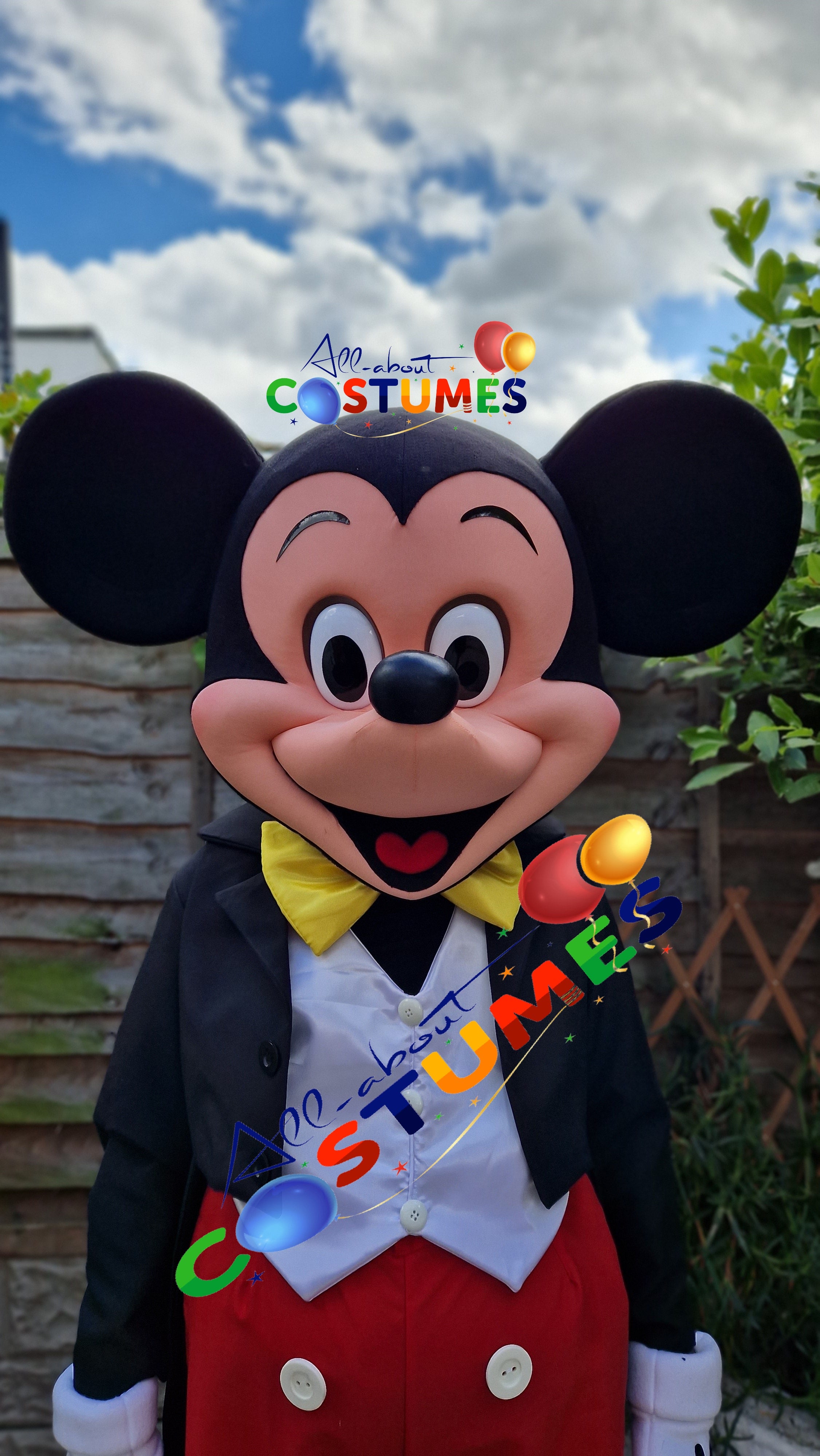 Mickey Mouse Costume